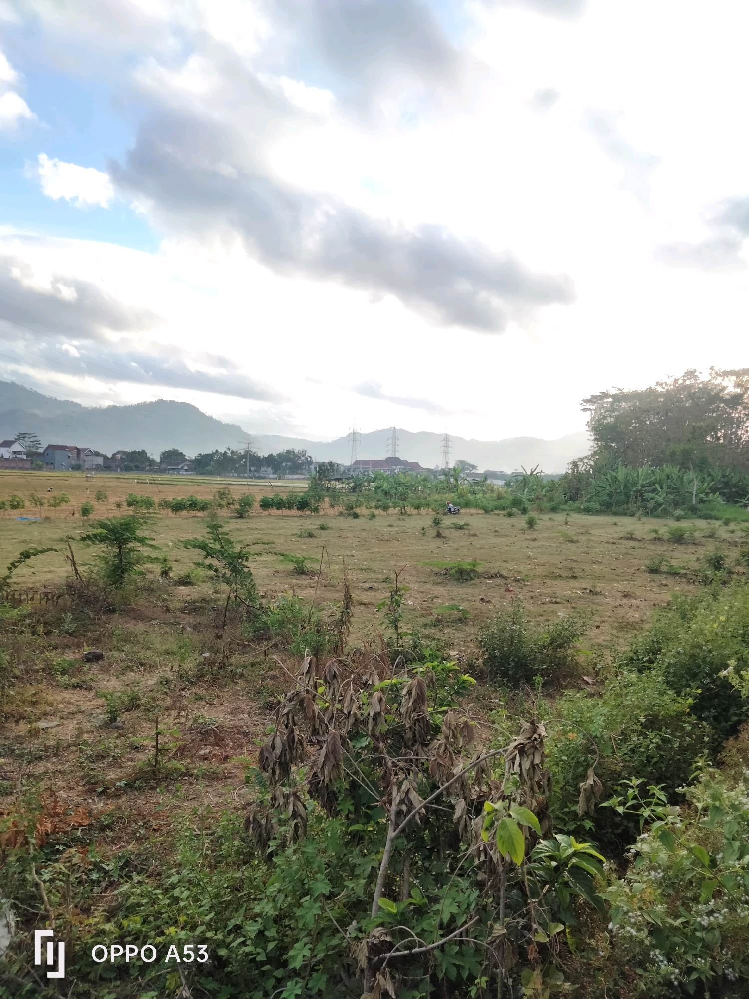 An outdoor, eye-level, wide shot captures a rural landscape in Trenggalek, Indonesia, under a partially cloudy sky. The foreground is dominated by dry, overgrown vegetation and a few small, young trees. In the middle ground, a large, open field of dry grass stretches towards a distant treeline. Beyond the field, a small village with houses and electrical pylons is visible, nestled at the foot of rolling, hazy hills. The sky is bright, with large white clouds obscuring the sun, suggesting it is either early morning or late afternoon. The overall impression is one of a quiet, undeveloped area.