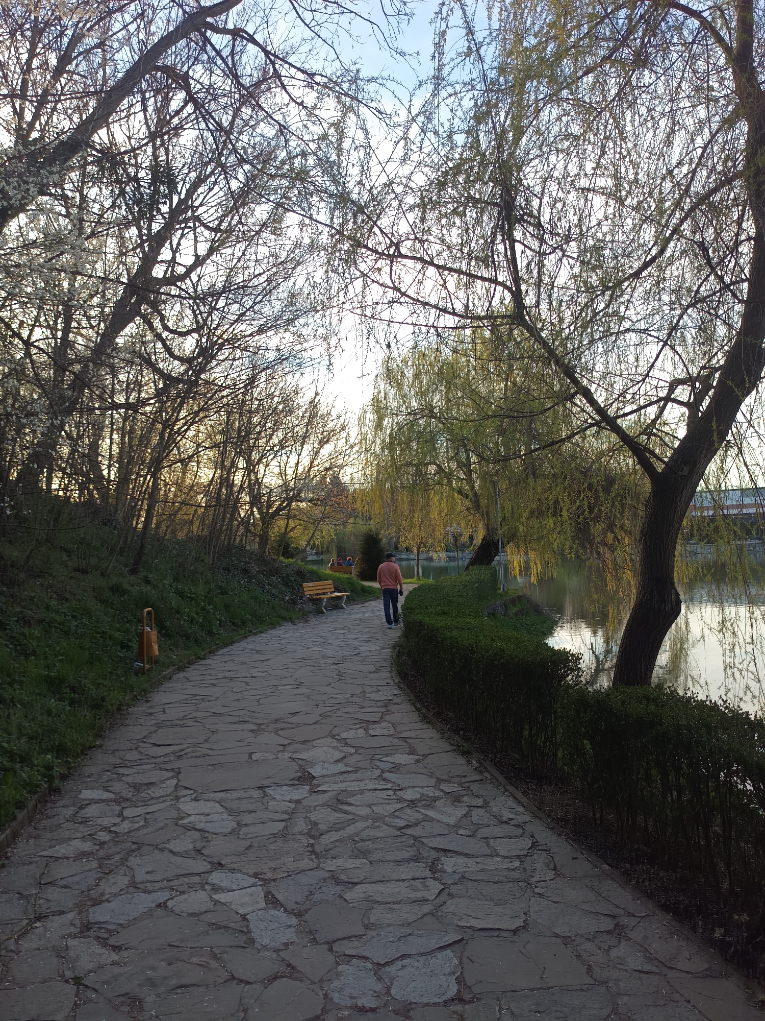 The image shows a paved pathway in a park. The pathway is constructed from irregular stone slabs. A man in a coral-colored shirt and jeans walks away from the viewer along the path. A bench sits on the left side of the path. To the right, a manicured hedge separates the path from the edge of a body of water, presumably a lake or river. A weeping willow tree grows next to the water. Trees line the path, both with and without leaves. An orange trash receptacle is on the left side of the path. The sky is visible through the branches of the trees. Given the reference to Targovishte, Bulgaria, it is likely this image was taken in that city.