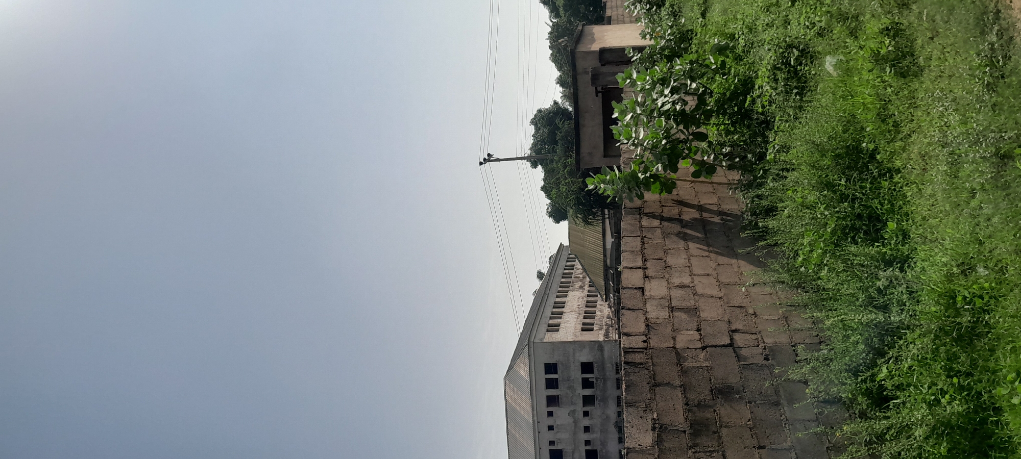 The image depicts an outdoor scene in Jalingo, Nigeria, under a clear, pale blue sky. In the foreground, a weathered brick wall runs horizontally, casting a distinct shadow due to sunlight from the left. Beyond the wall, lush green vegetation, including bushes and tall grass, grows abundantly.
Behind the wall, the remains of a large, multi-story building are visible. This structure appears to be under construction or renovation, with many windows lacking glass and some sections appearing unfinished. Its exterior is a light, neutral color. Adjacent to this larger building is a smaller, single-story structure with a greenish metal roof.
Further in the background, a utility pole with wires extends upwards, and trees with dense foliage are scattered across the landscape, suggesting a semi-urban or developing area. The overall impression is one of an active construction site or a facility in a state of transition. No people are visible in the image.