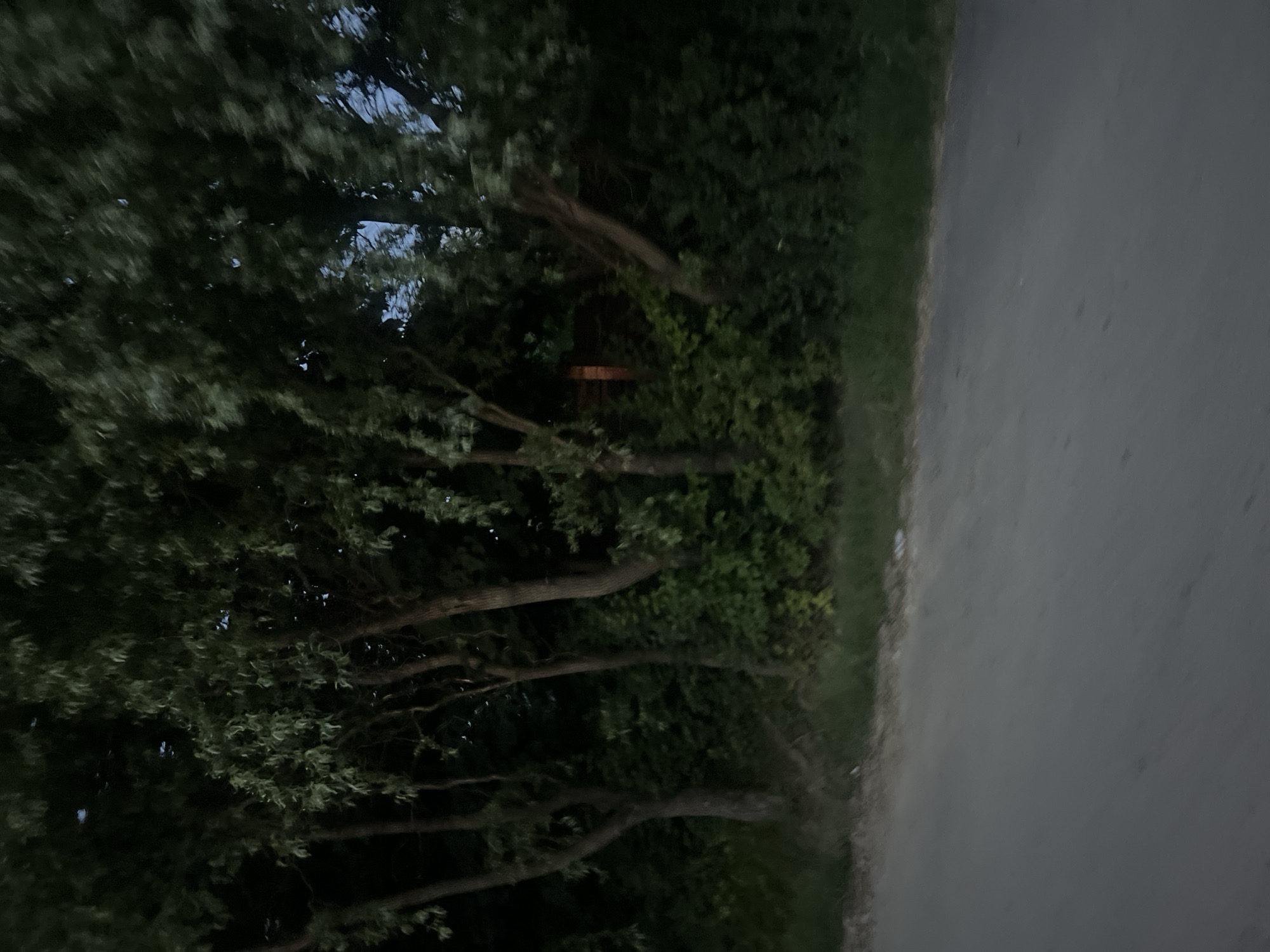 The image shows a roadside scene in Bârnova, Romania. In the foreground, a gray, unpaved road dominates the lower half of the frame. To the left and extending into the background, there is a dense area of trees and foliage. The trees are tall and leafy, with visible trunks and branches. Some parts of the foliage appear darker, suggesting shadows or denser undergrowth. The lighting is dim, indicating either dusk or a heavily overcast sky. There are no visible people or animals in the image. In the background, between the trees, a glimpse of a brown, brick-like structure is visible, hinting at a building or fence. The overall impression is a natural, somewhat wild roadside environment.