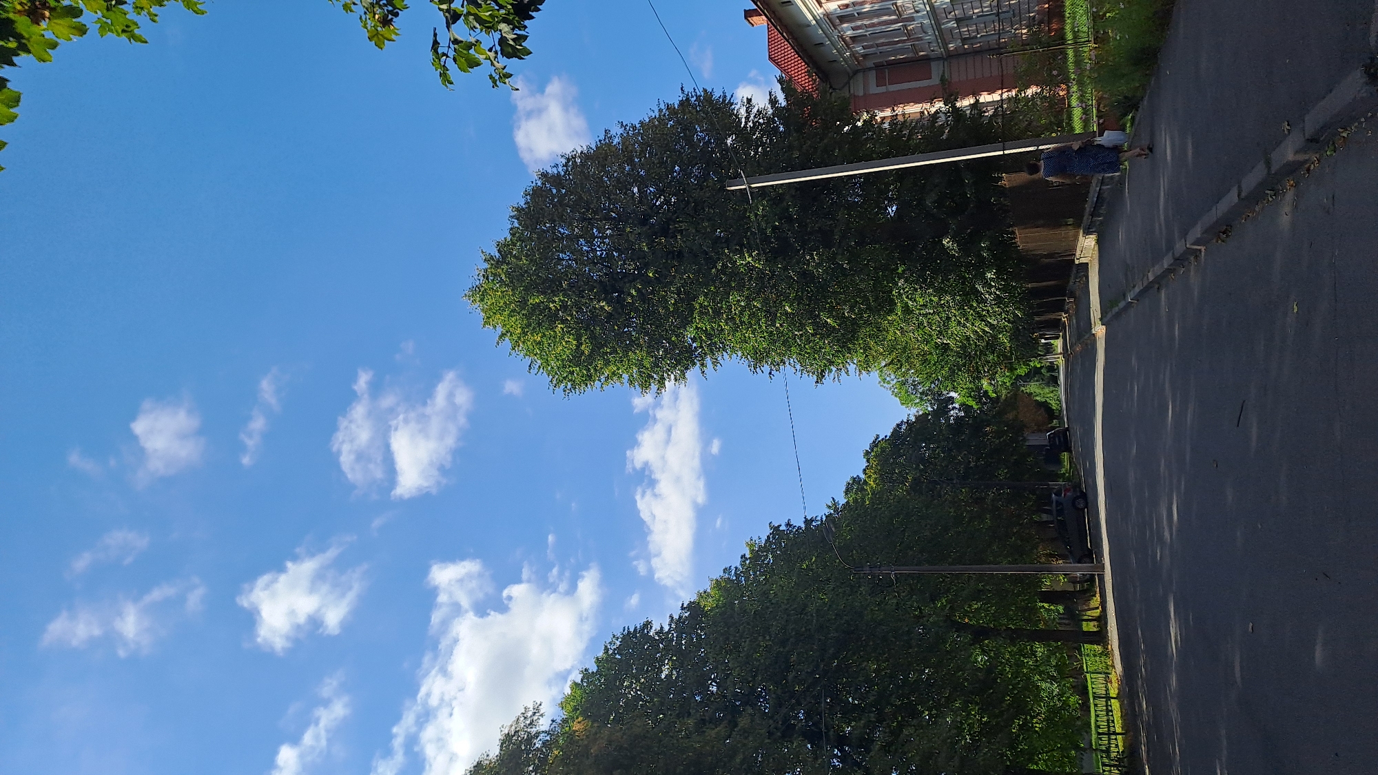 The image depicts a street scene in Kolomyia, Ukraine, on a clear day with a blue sky dotted with white clouds. The street is lined with mature trees forming a canopy, casting shadows on the asphalt road. On the right side of the street, a red-brick building with white trim and arched windows is visible behind a fence. A woman in a dark blue dress is walking away from the camera on the sidewalk, carrying a bag. Two cars are parked on the left side of the street. The overall scene suggests a quiet, residential or commercial street in a European city.