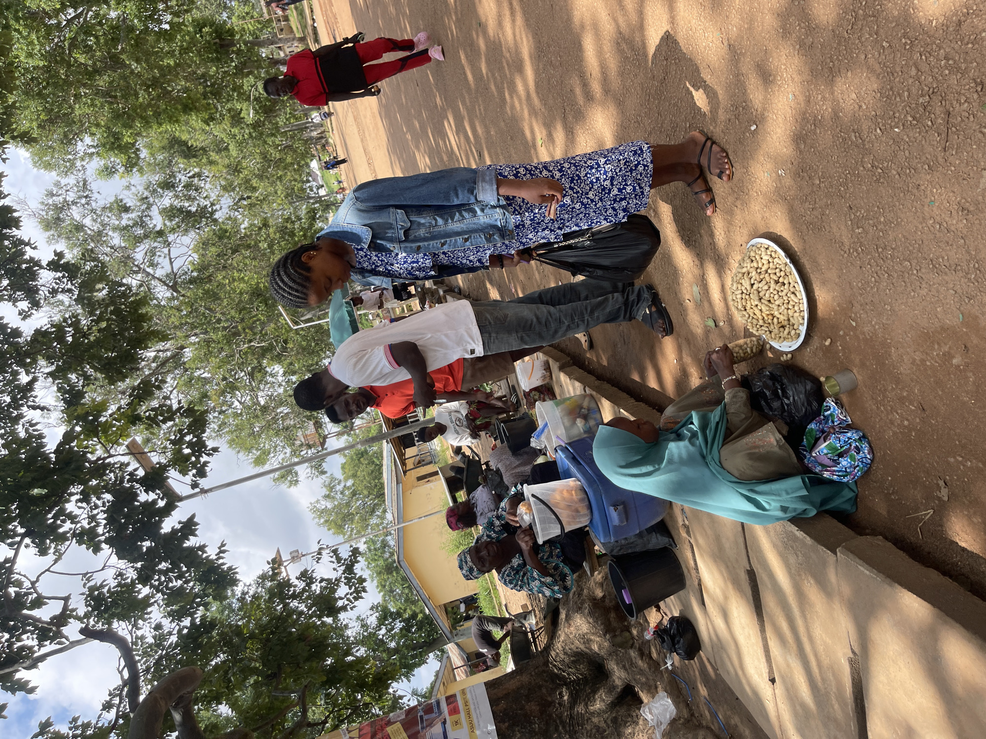 In Rafin Par, Nigeria, a street scene unfolds under a canopy of trees. A woman, draped in a turquoise hijab and traditional attire, sits on the ground beside a collection of buckets and plastic containers. She is engaged with a small pile of groundnuts displayed on a white plate, holding a bag and appearing to be in the process of packaging them. To her right, another woman, also in traditional headwear and clothing, sits behind a table laden with various goods, seemingly attending to her stall.
Several people are standing and interacting near the stalls. A man in a white t-shirt and jeans stands with another man in an orange t-shirt and dark trousers. A young woman wearing a blue floral dress and a denim jacket stands in the foreground, holding a black bag and looking down. Further in the background, individuals walk along a dirt path, and a person in a red and black outfit walks away from the camera. The environment is characterized by a sandy-brown dirt path, with buildings and more trees visible in the distance. Sunlight filters through the leaves, casting shadows on the ground, suggesting it is a warm, bright day.
