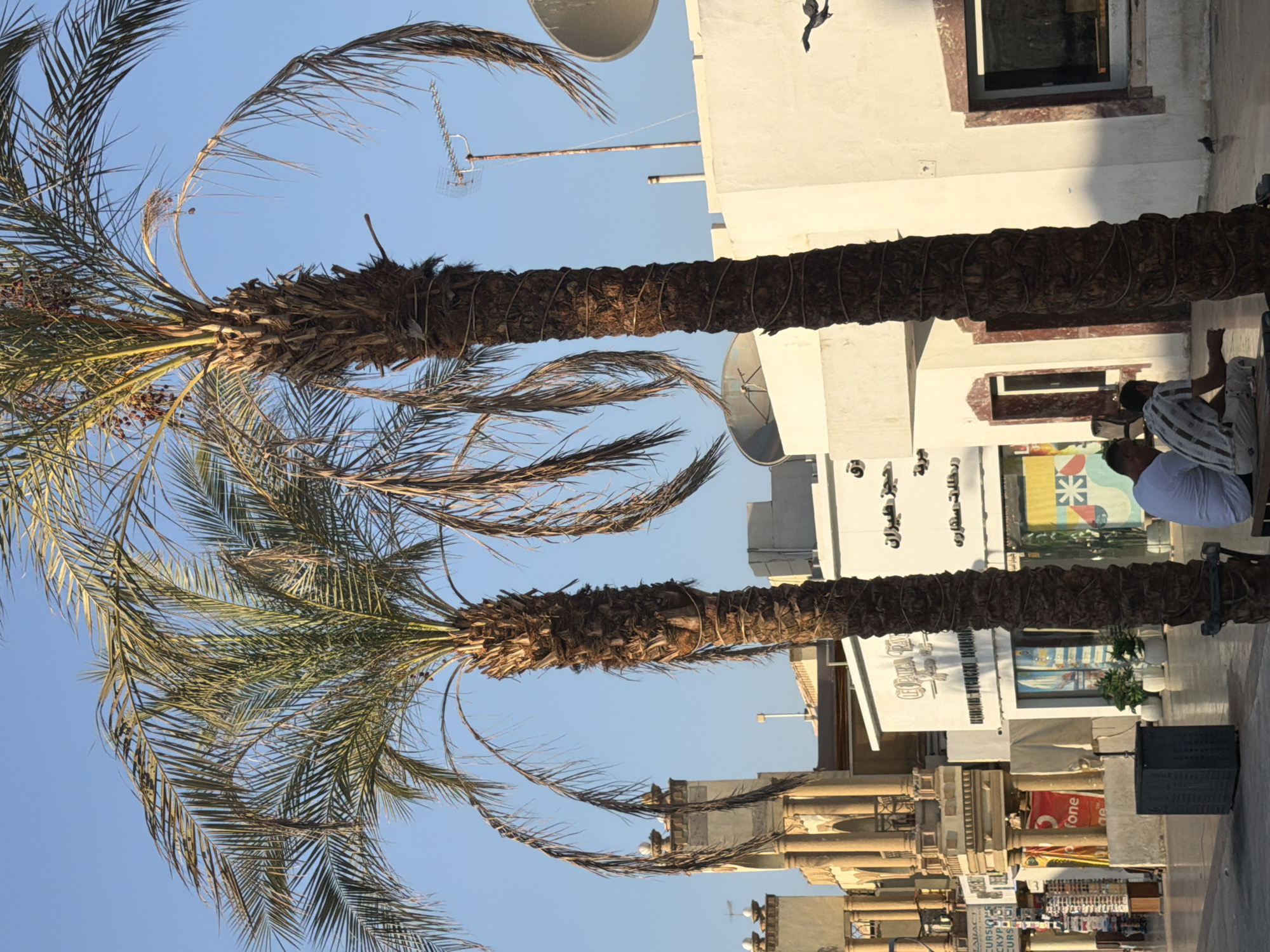 This image depicts a street scene in Sharm El Sheikh, Egypt, likely on a promenade or commercial street given the presence of shops and palm trees. Two large palm trees dominate the foreground, with their fronds casting shadows. Behind them, a row of buildings with distinct architecture is visible. One building on the left features ornate columns and balconies, suggesting a more traditional or resort-style design. Adjacent to it are shops with signage, some in Arabic, and display windows. One sign appears to be for "Vodafone." In the center, a white building with red-trimmed windows stands. People are seated on a bench in front of this building, with one person in a white shirt and another in a checkered shirt. A dark grey bin is also present. Further back, a large satellite dish and an antenna are mounted on a rooftop. The sky is a clear blue. The overall impression is of a sunny day in a tourist-oriented area.