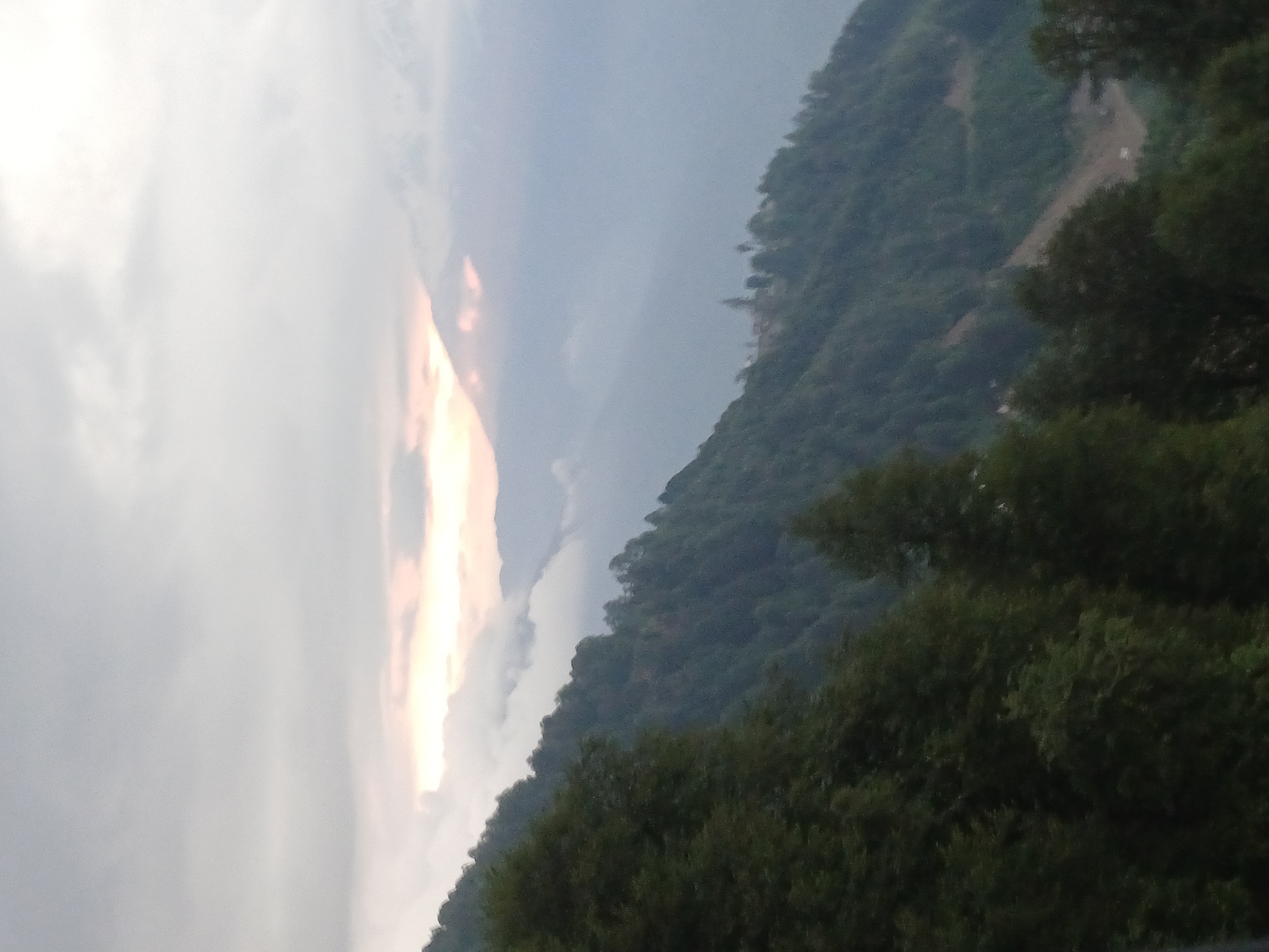 The image shows a misty mountain landscape with lush green trees covering the slopes. The sky is overcast with soft, diffused light, suggesting either dawn or dusk. In the distance, the silhouettes of more mountains can be seen through the fog, with a hint of a pinkish-orange glow peeking through the clouds, possibly indicating sunrise or sunset. The foreground is dominated by the dense foliage of trees on a steep incline. The overall atmosphere is serene and natural, characteristic of a mountainous region. The location of Estosadok, Russia, is known for its natural beauty and mountainous terrain, which aligns with the scene depicted.