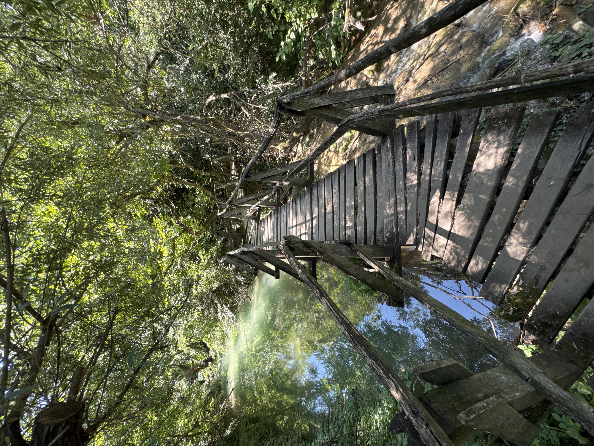 The image shows a wooden bridge over a body of water, likely a river or stream. The bridge is old and weathered, with wooden planks forming the walkway and rustic wooden railings. The water is clear and reflects the surrounding trees and sky. The area is densely forested, with lush green foliage covering the banks of the water. Sunlight filters through the leaves, creating dappled patterns on the bridge and water. The scene appears to be a natural landscape, possibly a park or nature reserve. The location is identified as being in the vicinity of the Hotnitsa waterfall in Bulgaria.