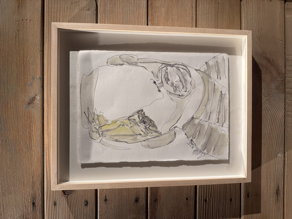 A framed, vertical watercolor and ink drawing is centrally displayed against a wall constructed of light brown, vertically oriented wooden planks. The artwork depicts a semi-abstract human bust or head in profile, facing right, rendered with continuous black lines and washes of muted golden yellow and greyish-taupe. A signature, "Mullins," and the year "2023" are legible in the lower-left corner of the drawing, which is on textured, possibly deckle-edged paper. The artwork is presented within a light-toned wooden frame with a deep, white mat creating a shadow box effect. Strong directional light from the left casts a distinct shadow of the frame onto the wooden background. The precise location within London, United Kingdom, is unidentifiable from the visual information presented.