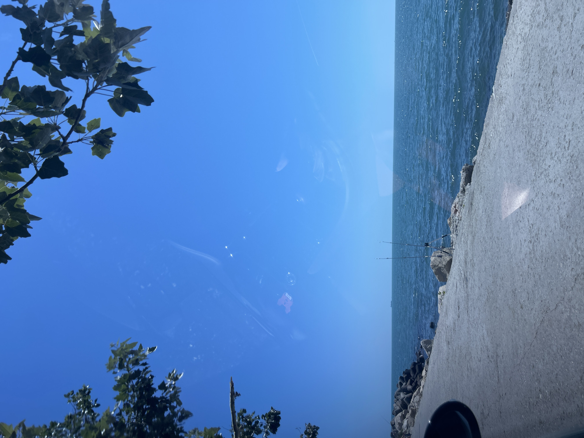 The image depicts a view of the Black Sea coast in Varna, Bulgaria. In the foreground, a concrete pathway runs along the edge of the sea, with a rocky embankment on the left. Two fishing rods are set up on the pathway, suggesting fishing activity. The sea is a deep blue, with a clear horizon under a bright blue sky. In the upper portion of the image, tree branches with green leaves frame the scene. There is a faint reflection on the surface, possibly from a window. A distant cargo ship is visible on the horizon. The overall impression is a tranquil coastal scene on a sunny day.