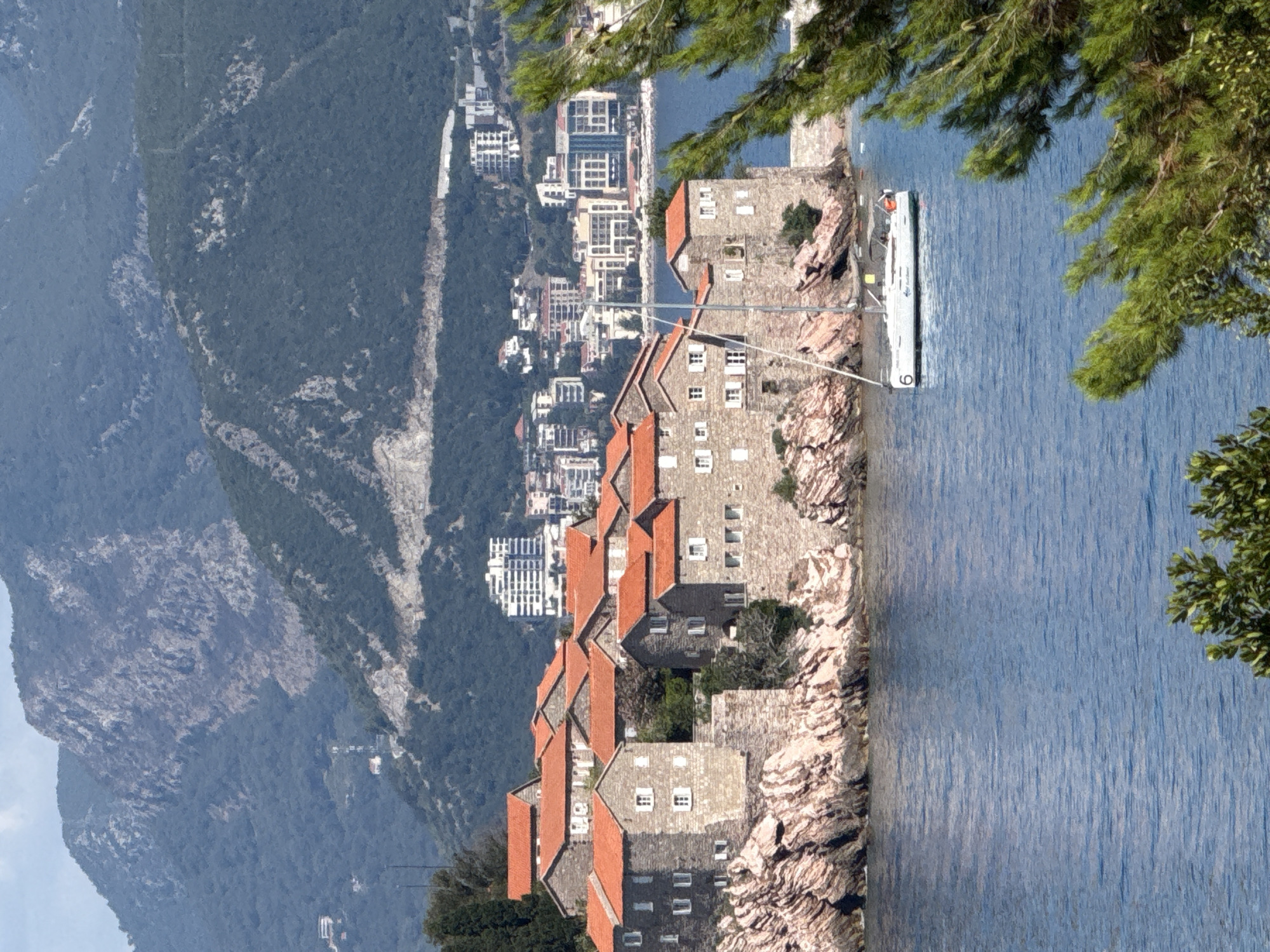 This is a medium-shot, eye-level, vertical photograph of a historical island town, likely Sveti Stefan, Montenegro, with a prominent sailboat in the foreground. The island town is composed of stone buildings with red-tiled roofs, situated on a rocky outcrop. The buildings are clustered together, with some appearing to be in a state of disrepair or preservation. In the background, modern high-rise buildings are visible, suggesting a juxtaposition of old and new architecture. The sea is a deep blue, with gentle ripples on its surface. A white sailboat with a number "6" on its hull is anchored in the water, adding a touch of activity to the scene. Lush green pine trees frame the right side of the image, suggesting a Mediterranean coastal environment. The overall impression is one of a scenic and historic location, with elements of both natural beauty and human development.