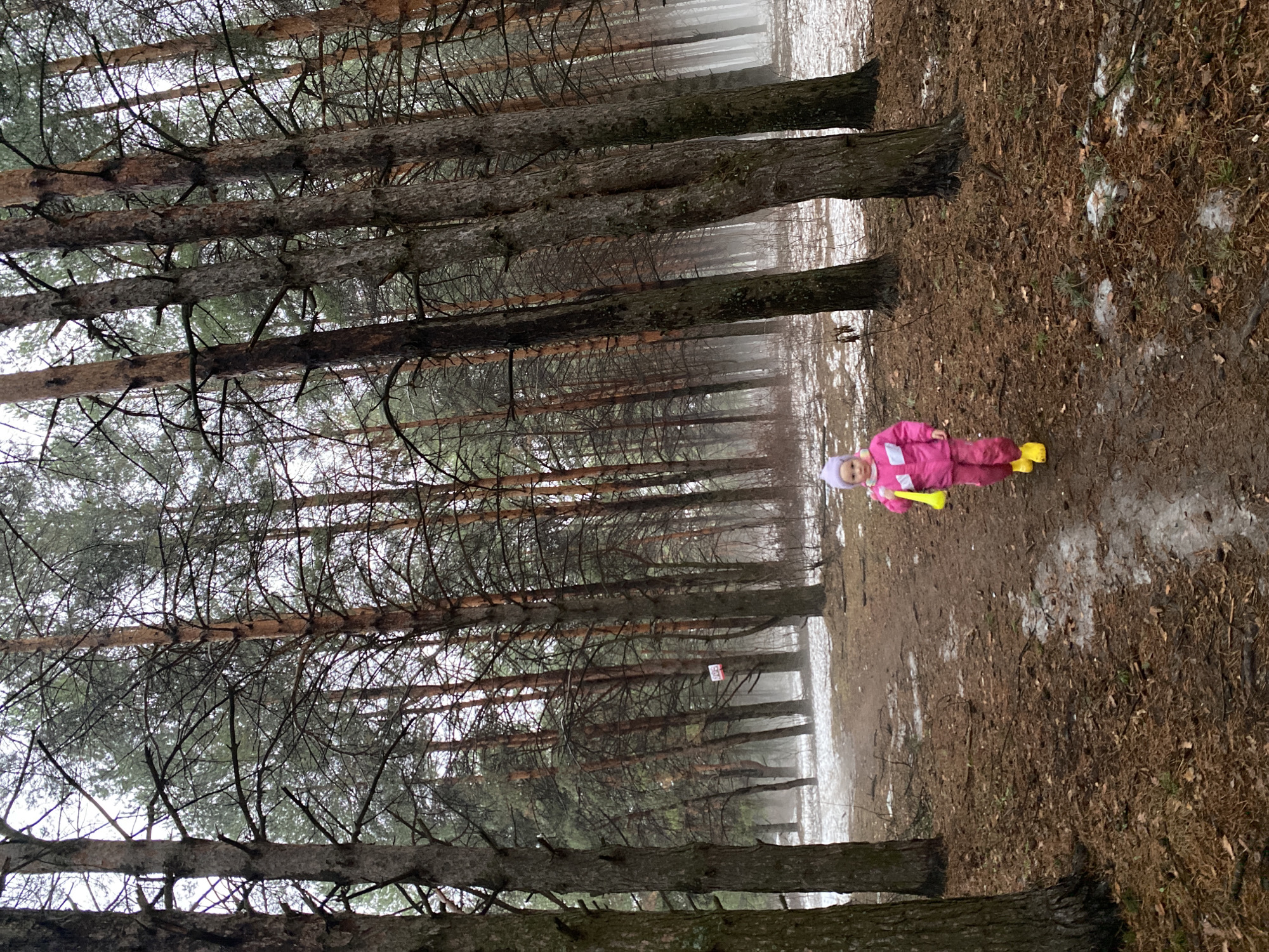 A young child wearing a pink snowsuit, a white hat, and yellow boots stands on a muddy path in a dense forest. The child holds a yellow toy horn. The forest consists of tall, thin trees with bare branches, and the ground is covered in brown leaves and patches of snow. The scene is misty, and a red and white sign is affixed to a tree in the background. The location is a wooded area, possibly a park, in the city of Chaikovsky, Russia.