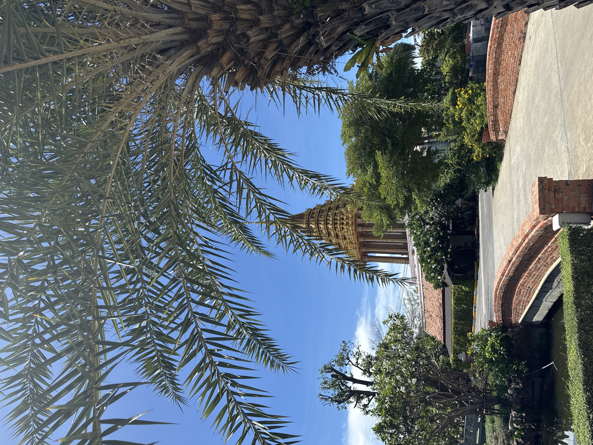 The image is a low-angle shot taken from beneath a palm tree, framing the sky above. The palm fronds are prominent in the foreground, creating a natural border. The background includes a glimpse of a golden structure, possibly a temple or pagoda, amidst green trees and foliage. A brick wall and a paved road are visible on the right side of the frame. The clear blue sky suggests a sunny day. The location is within the city of Bang Pu Subdistrict Municipality, Thailand, as indicated by the architecture of the golden structure.