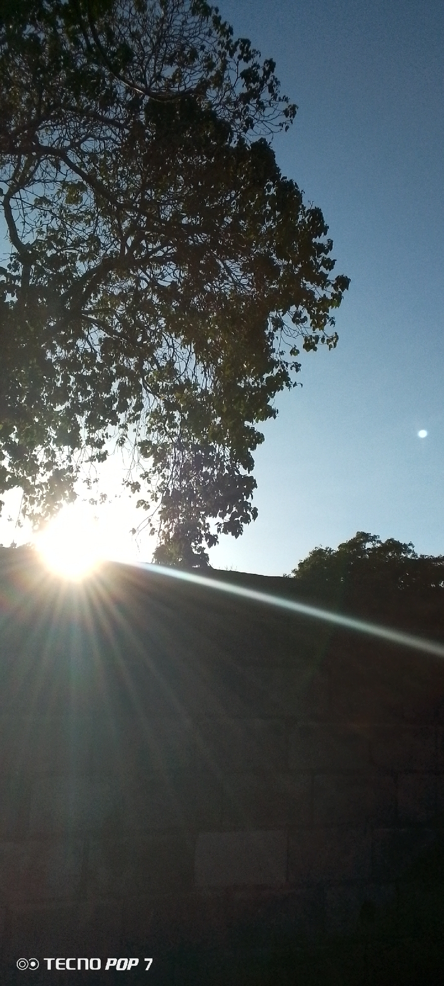 The image, taken with a TECNO POP 7 smartphone, shows a scene in Altagracia, Venezuela. In the foreground, a dark wall, possibly made of brick, occupies the lower portion of the frame. Above the wall, the sun shines brightly, partially obscured by tree foliage. Sun rays emanate from behind the tree, creating a strong contrast of light and shadow. Other trees are visible in the distance, partially silhouetted against the blue sky. The sky is clear except for the trees and the light source of the sun.