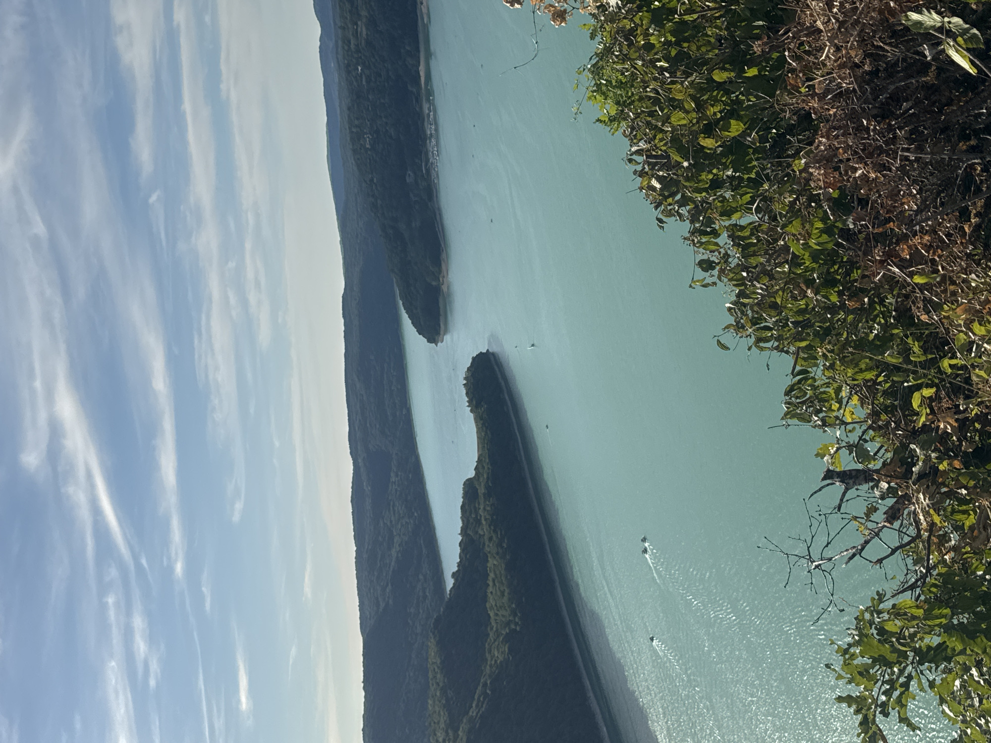 An aerial view captures a vast, turquoise body of water winding through densely forested hills under a partly cloudy sky. Several boats are visible on the water, leaving white wakes. The foreground is dominated by lush green foliage and dry brush. The scene depicts the Lac de Vouglans, a reservoir in the Jura department of France, near the town of Moirans-en-Montagne.
