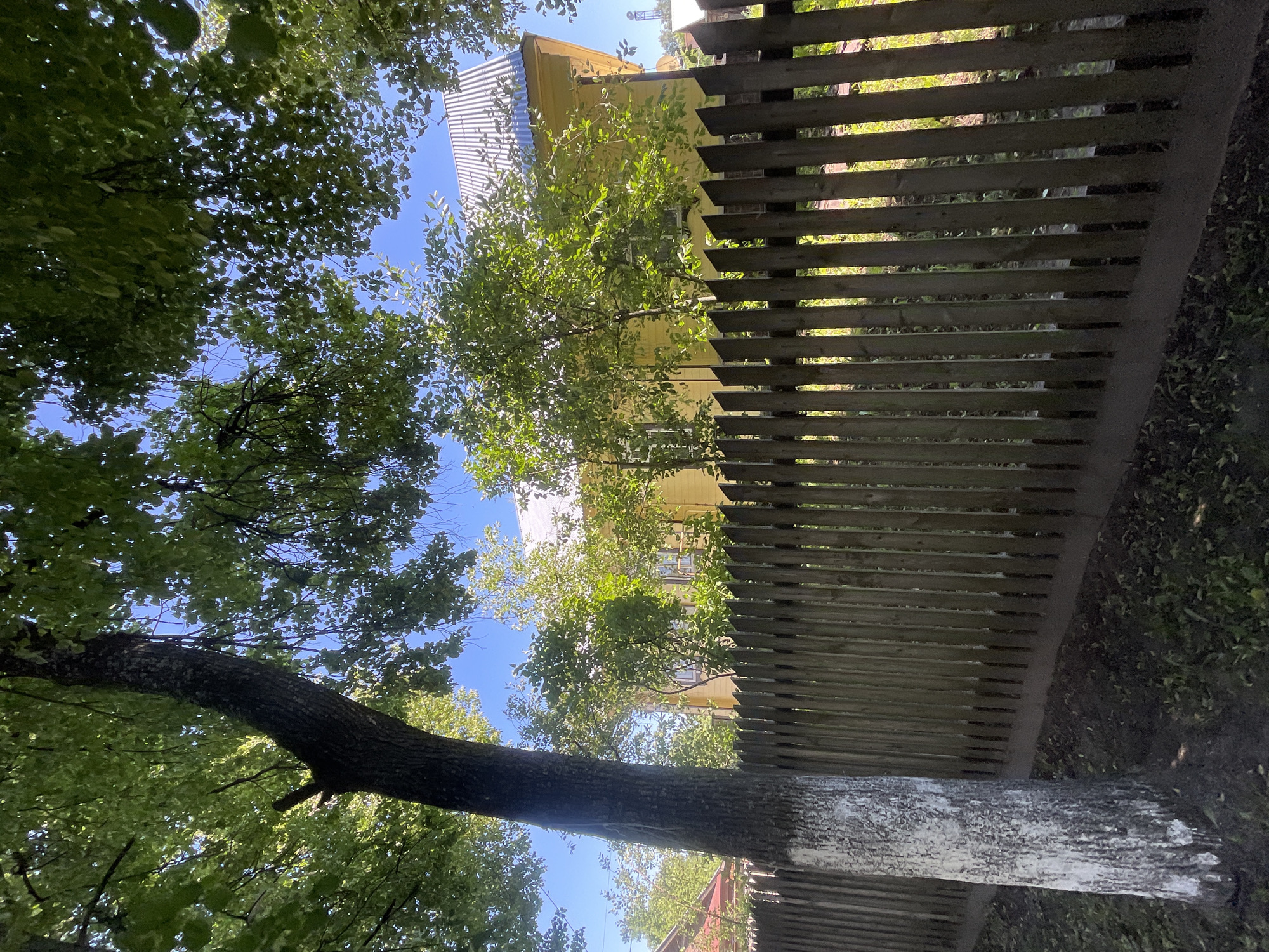 The image shows a wooden fence in front of a yellow house with a metal roof. The fence is made of vertical wooden planks, with some of them having angled tops. A large tree with a dark, textured bark stands to the left of the fence, its lower trunk partially whitewashed. Lush green leaves from the tree canopy overhang the scene, with patches of bright blue sky visible through them. In the background, beyond the fence and trees, the yellow house is visible, with windows and what appears to be a corrugated metal roof. Other trees and foliage are present, and the ground in front of the fence is covered with dark soil and scattered leaves. The overall scene suggests a residential setting in a rural or suburban area of Красные Баки, Russia, likely during a sunny day in the warmer months.