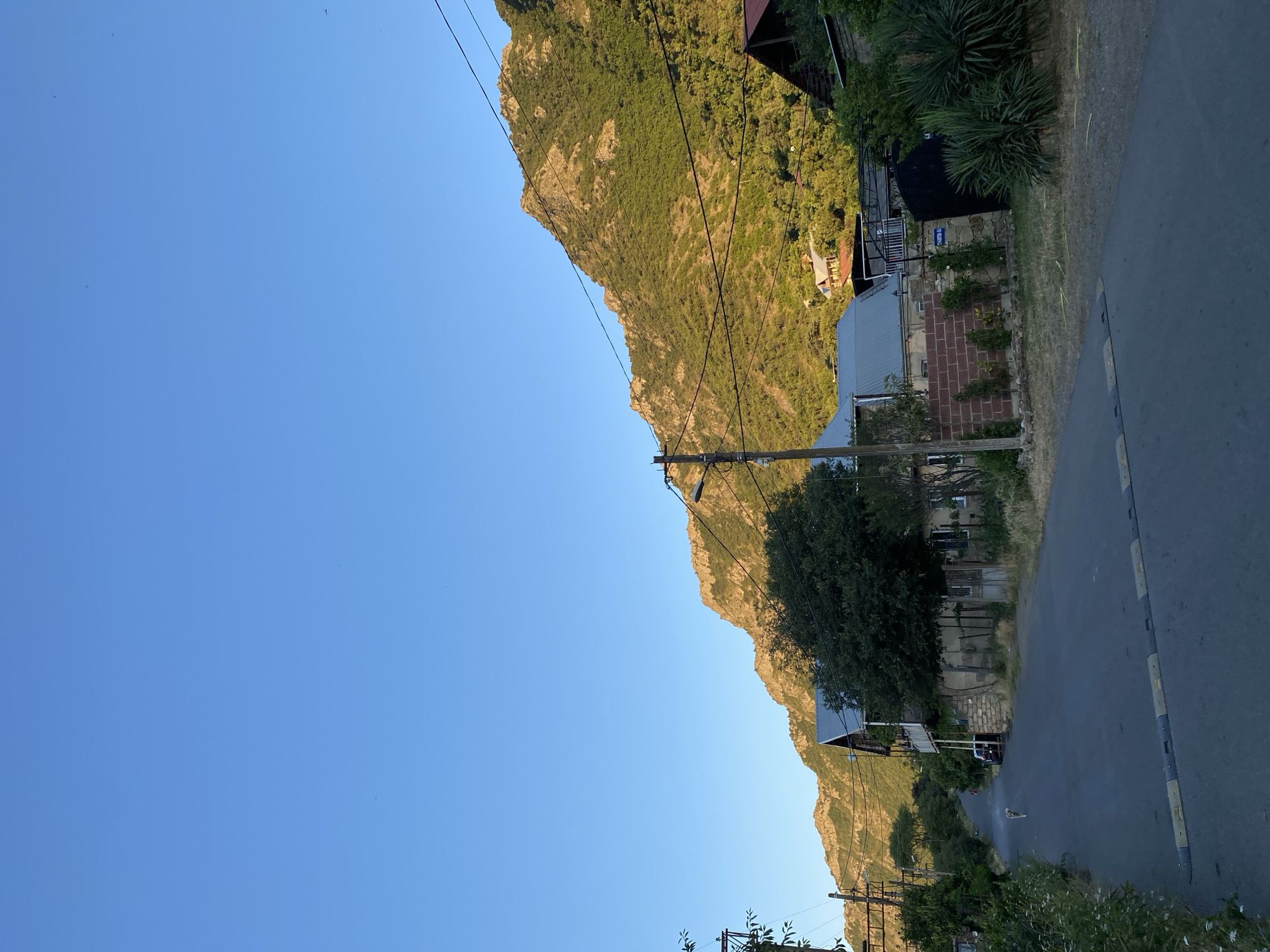 The image depicts a street in Mtskheta, Georgia, leading towards a green, rocky mountainside bathed in the warm light of either sunrise or sunset. On the right side of the street, a large, dense green yucca plant grows near a dark metal gate and a low brick wall. Beyond the wall, a house with a red roof is partially visible, nestled amongst trees. Further down the street, on the left, a narrow asphalt road curves gently uphill. A small, light-colored dog walks away from the camera on the road. Several houses with grey roofs and some with balconies are situated along the street. Power lines crisscross the scene, supported by wooden poles. The sky is a clear, bright blue.