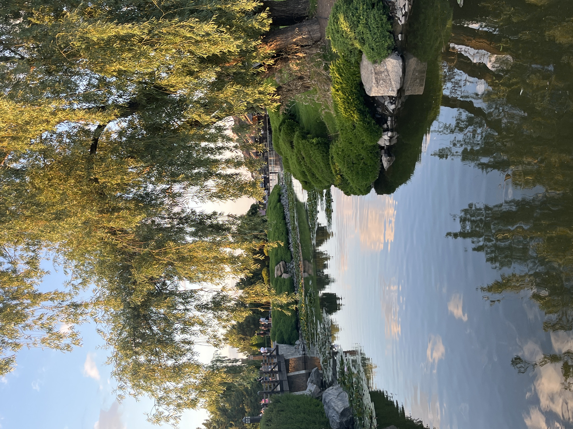 The image depicts a tranquil scene in a park, possibly a Japanese garden, with a focus on water features and lush greenery. A slow-moving body of water, reflecting the sky and surrounding trees, occupies the foreground. Lily pads dot the surface of the water. On the left bank, a small wooden bridge arches over a narrower section of the waterway, with several people visible on and near it. The right bank is lined with manicured green bushes and large rocks, leading to the base of a mature, weeping tree with long, drooping branches. In the background, more trees and what appear to be buildings with curved roofs are visible, suggesting a park or recreational area. The lighting indicates it is late afternoon or early evening, with the sun casting a warm glow on the foliage. While the exact location in Dnipro, Ukraine is not explicitly identified, the style of the park, with its water, bridge, and meticulously maintained vegetation, is consistent with the landscape design found in several city parks and botanical gardens.