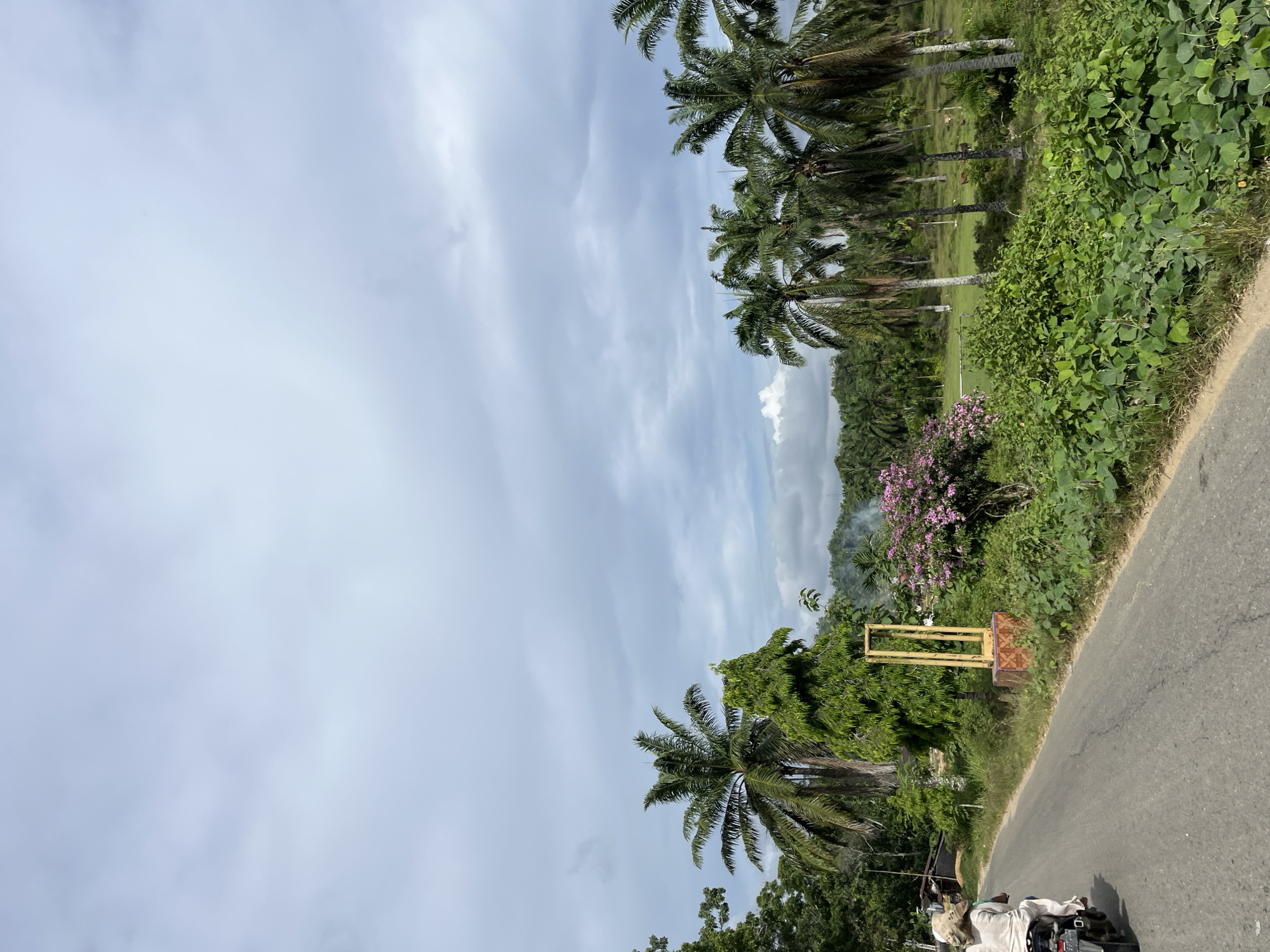The image depicts a rural roadside scene in Sukajadi, Indonesia. A person is riding a motorcycle on a paved road that curves to the left. The rider is wearing light-colored clothing and a head covering. To the right of the road, lush green vegetation is abundant, with various types of plants, including what appears to be soybean plants in the foreground. Beyond the immediate roadside greenery, a line of palm trees stretches across the mid-ground, with a dense plantation of palm trees in the background. In the middle ground, there is a decorative structure made of bamboo, set on a patterned base, near a tree with pink blossoms. Further in the background, smoke is visible rising from behind the trees, suggesting some activity like cooking or burning. The sky is overcast with gray clouds. The overall impression is one of a tropical, agricultural landscape.