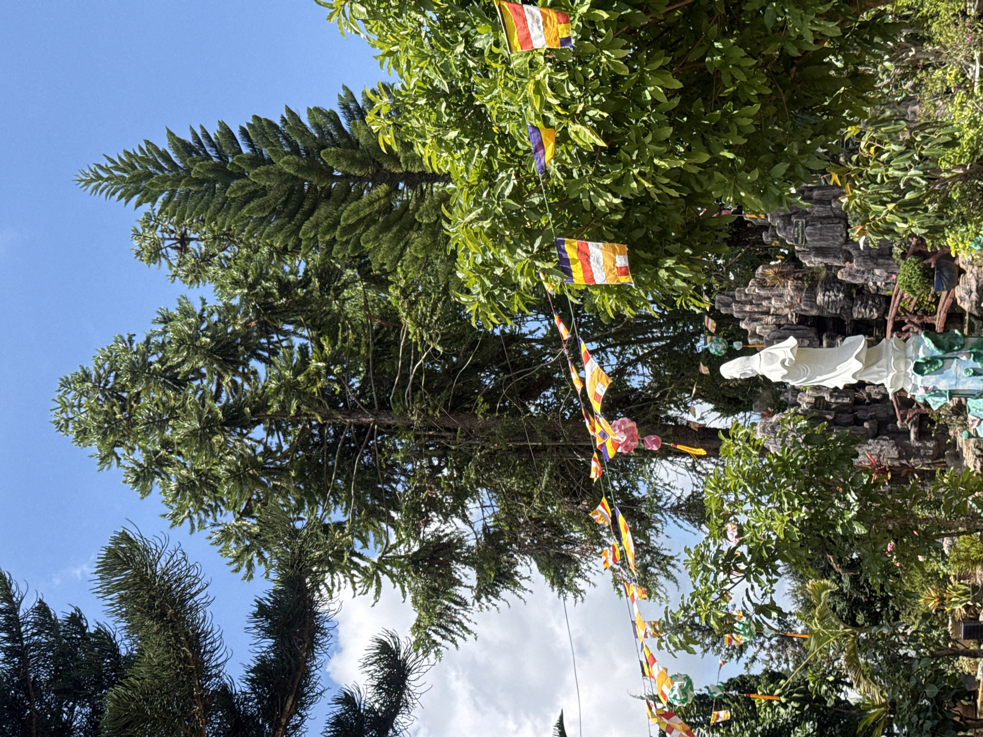 The image captures a scene in Lạc Dương, Vietnam. A tall pine tree rises on the left side of the frame, contrasting with other trees bearing broader leaves. Buddhist prayer flags are strung between the trees. In the background is a rocky structure and a statue, partially visible behind greenery. The sky is blue, and the weather seems sunny.