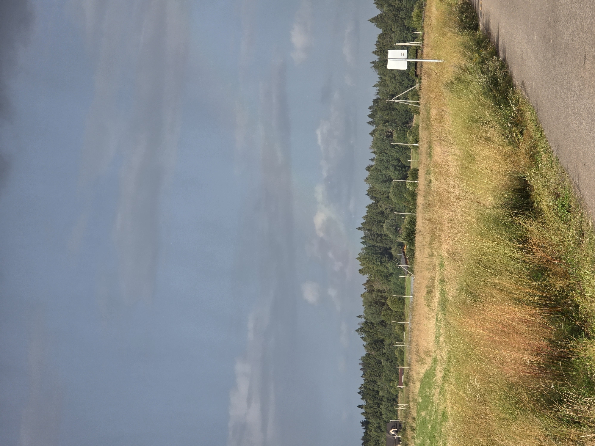 The image depicts a rural landscape under a cloudy sky. In the foreground, a paved road curves to the right, bordered by a field of tall, dry grass with hints of reddish-brown. Beyond the field, a dense line of green trees forms a backdrop, separating the field from the sky. A few scattered structures, possibly houses or outbuildings, are visible on the left and right edges of the treeline. A white rectangular sign on a pole stands in the middle-right of the image, near the edge of the field. The sky is predominantly grey with some lighter patches of clouds, and a faint hint of a rainbow is visible in the upper-middle portion of the image. The scene suggests a natural environment, likely in the countryside outside a populated area.