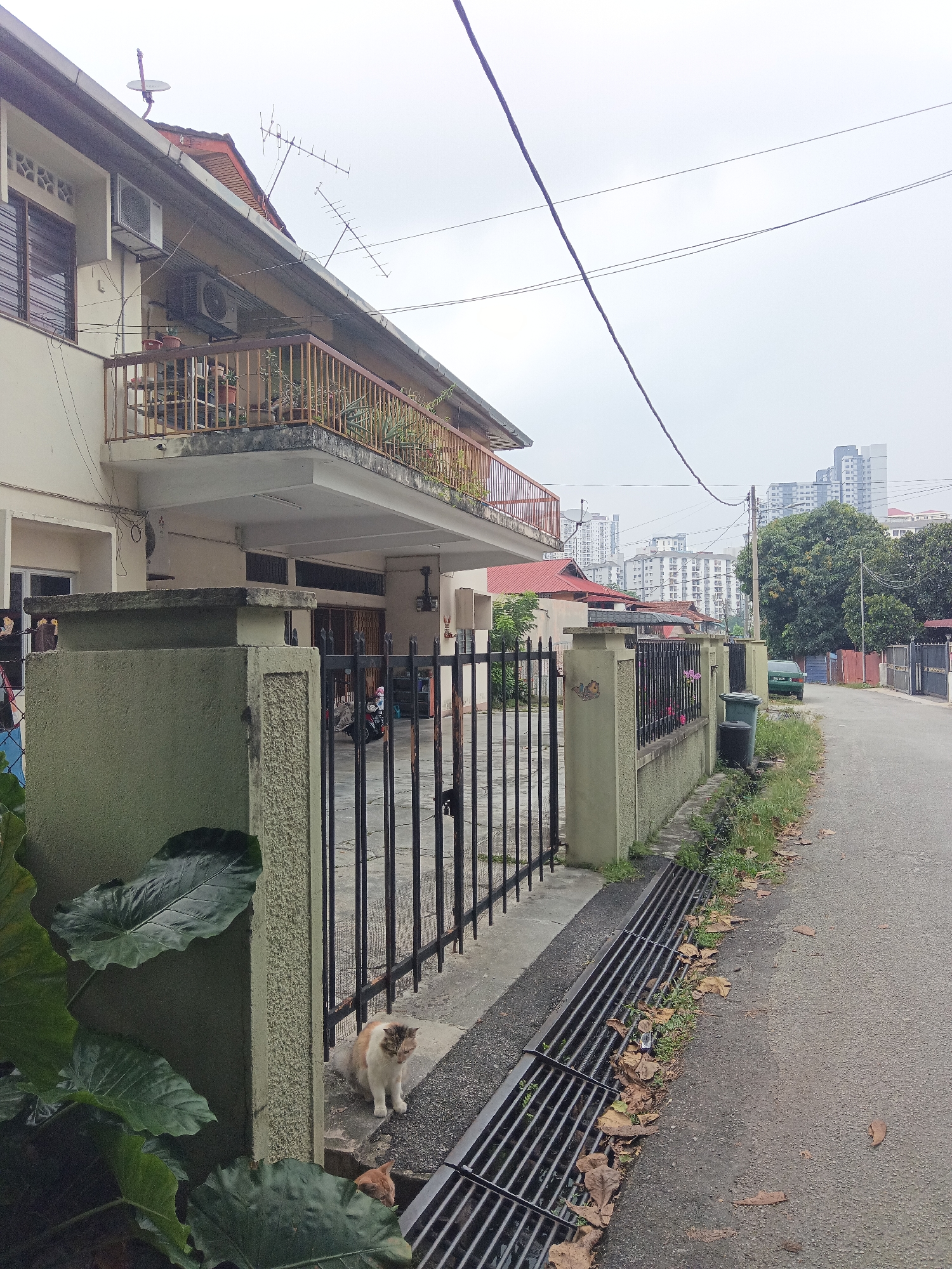 An exterior, eye-level, medium shot captures a street scene in Kuala Lumpur, Malaysia, on an overcast day. In the foreground, a cream-colored house with a light green accent wall features a black metal gate. A calico cat sits just outside the gate, while an orange kitten peeks out from under a drainage grate. Large, dark green leaves from a plant are visible in the lower left corner.
Beyond the gate, a paved driveway leads to the house, where a motorcycle is parked. The house has a balcony with a brown metal railing, adorned with potted plants. An air conditioning unit is mounted on the wall below the balcony, and another is visible on the upper floor. Two television antennas and a satellite dish are present on the roof.
The street continues to the right, lined with a grass strip and a metal drainage grate. Two green trash bins are positioned near the fence. Further down the street, a green sedan is parked. In the background, modern high-rise buildings rise above lush green trees. The sky is a uniform, pale gray.