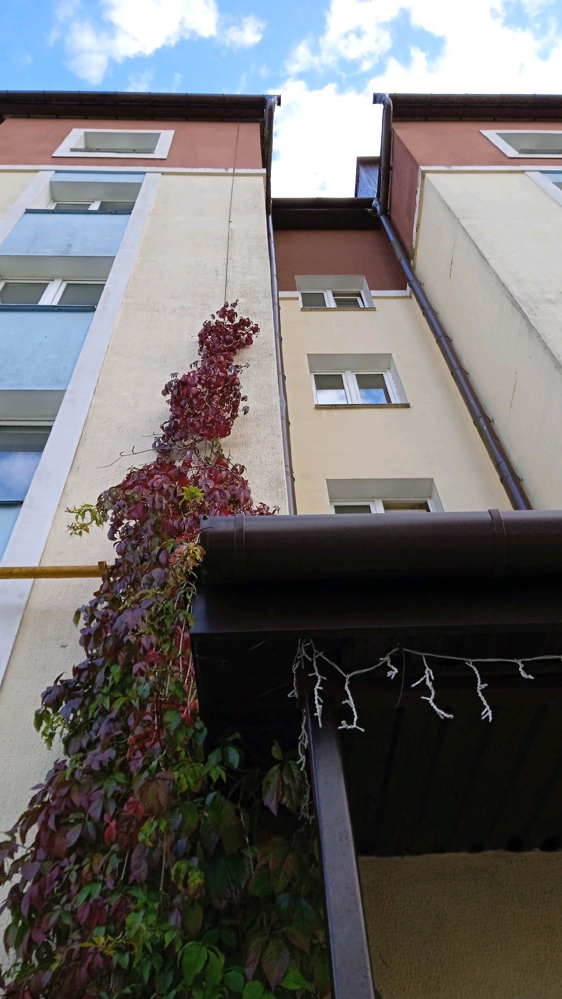 The image shows an exterior view of two adjacent apartment buildings against a cloudy blue sky. The buildings are of different heights and colors. The building on the left has a pale yellow facade with a light blue band below several windows, and a salmon-colored top section with a white-bordered square opening. The building on the right has a pale yellow facade with a salmon-colored top section, and features several windows with white frames. Dark brown rain gutters run along the rooflines of both buildings.
A prominent feature is a dense vine with deep red and green leaves climbing the pale yellow wall of the left building, partially obscuring windows and a yellow pipe. The vine extends over a dark brown overhang that is supported by a dark post. A string of white festive lights is draped across the underside of this overhang. The architectural style suggests an urban residential setting, likely within the Бараўлянскі сельскі Савет region of Belarus, given the context. No people are visible in the image.