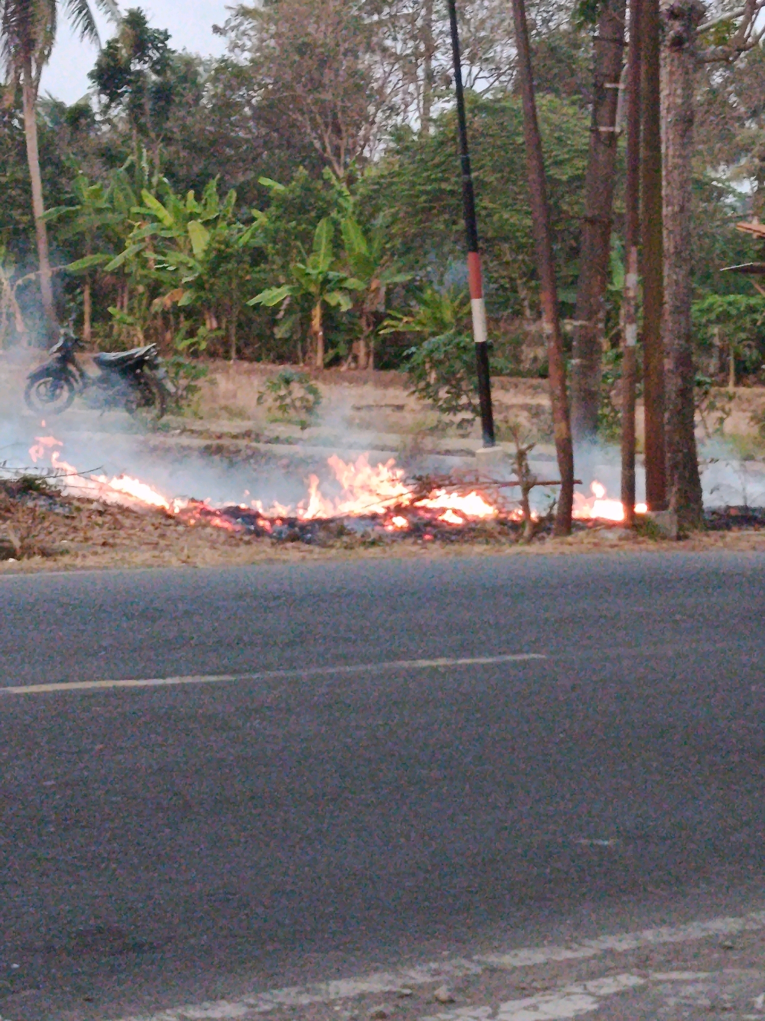 In Kalijeruk, Indonesia, a motorcycle is parked near a roadside fire. The motorcycle, dark in color, is situated on a dirt path adjacent to a paved road. The fire is actively burning, consuming dry leaves and branches along the edge of the road, producing significant smoke that billows into the air. In the background, lush green vegetation and trees form a dense canopy, suggesting a rural or semi-rural environment. A utility pole with bands of red and white stands prominently amongst the trees. The sky above is overcast.