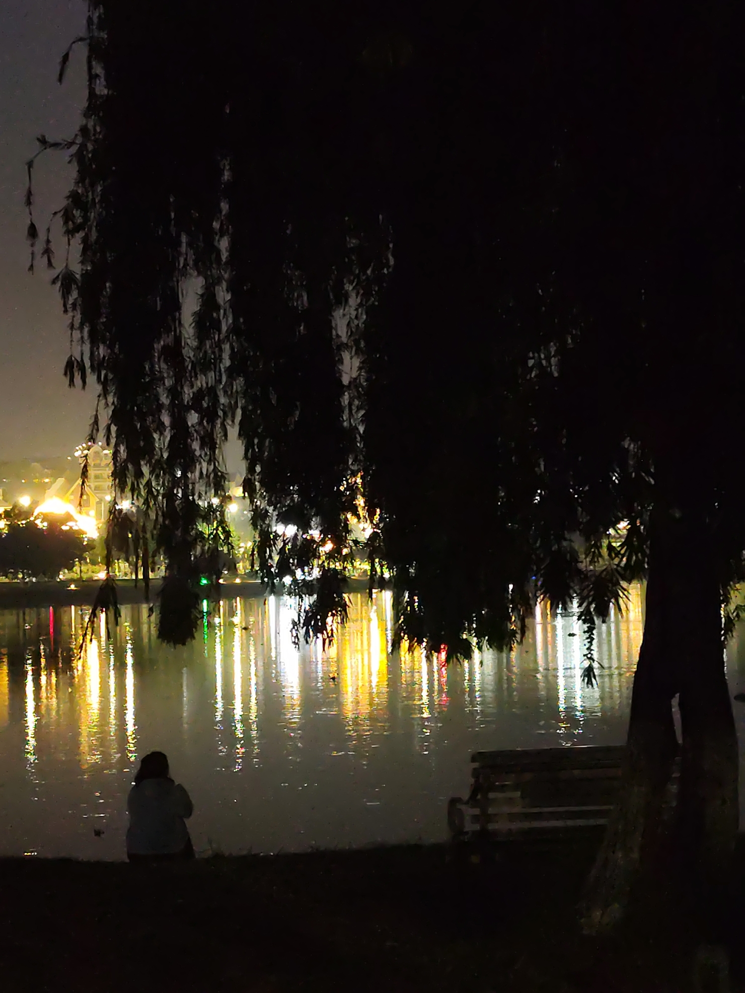 A nighttime scene shows a person sitting on the edge of a body of water, facing the illuminated cityscape in the distance. Light from buildings and streetlights reflects on the water's surface, creating vertical streaks. A weeping willow tree is in the foreground, partially obscuring the view. A park bench is visible to the right of the seated person. The location is likely near Xuan Huong Lake in Da Lat, Vietnam.