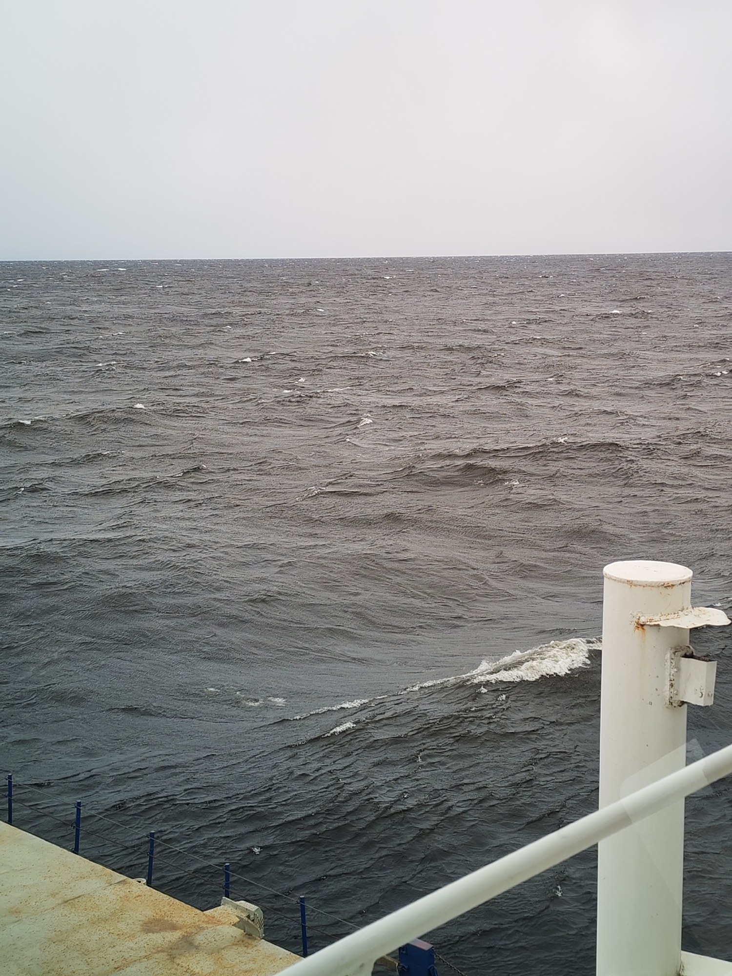 The image captures an expansive view of choppy, dark grey water meeting an overcast, light grey sky at a distinct horizon line. The scene is observed from the deck of a vessel, likely in the vicinity of Shcheleiki, Russia. The water surface is disturbed by numerous small waves and whitecaps, suggesting active conditions or a moving ship.
In the foreground, elements of the vessel are prominent. To the right, a white cylindrical post, possibly a stanchion or bollard, exhibits minor rust around its metallic attachments. A white horizontal railing extends across the lower right portion of the frame. On the left, a section of the ship's deck, showing signs of wear and rust, is visible. Blue stanchions or posts with thin connecting lines run along this deck edge. A clear line of white foam or a wake runs alongside the vessel, indicating its forward movement through the water.
The weather is cloudy and appears to be daytime, though the lack of direct sunlight gives the scene a muted atmosphere. No individuals or visible text are present. The image conveys the vastness of the open water and the typical conditions encountered during maritime travel on a cloudy day.
