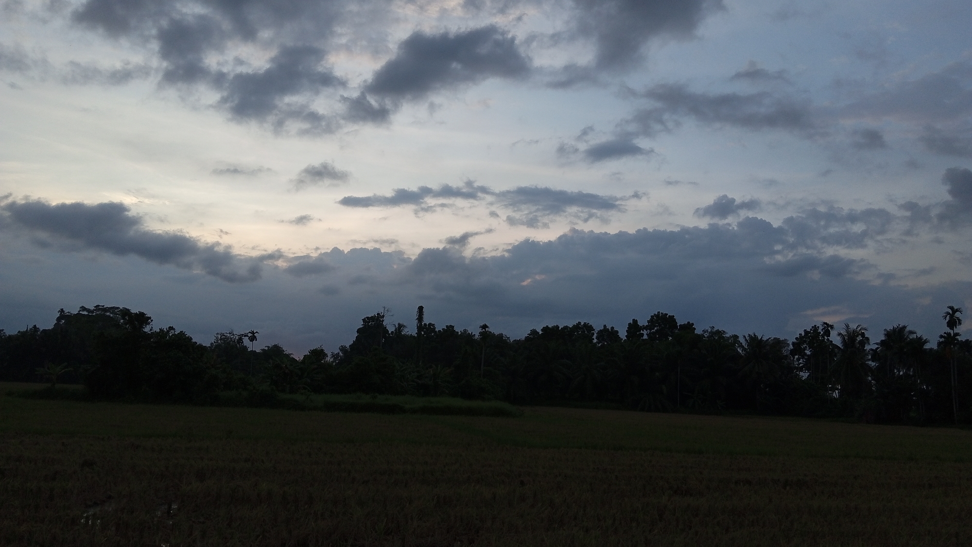 The image shows a landscape scene in Kilometer Delapan, Indonesia, at dusk or dawn. The sky is filled with dark, layered clouds. Below the clouds, a line of trees forms the horizon, silhouetted against the fading light. In the foreground, a field stretches out. The overall tone is dark and muted.