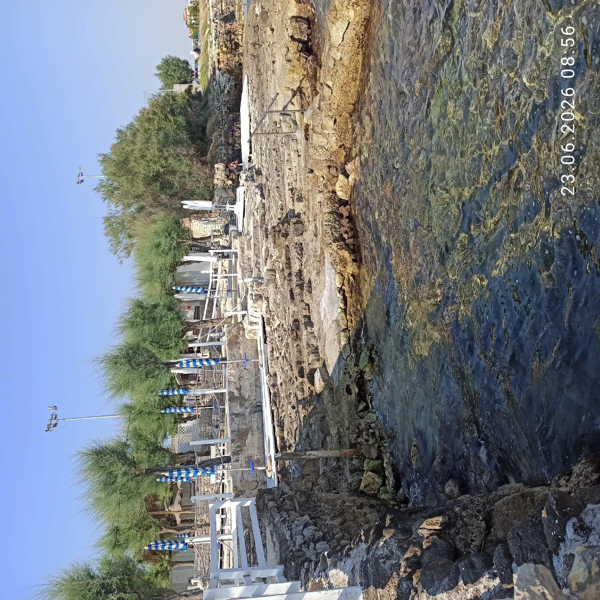The image shows a rocky shoreline with clear water in Molfetta, Italy. In the background, there are trees, beach umbrellas, and small structures, suggesting a beach or recreational area. A metal railing is visible on the rocks, providing access to the water. The sun is shining, casting shadows on the rocks and illuminating the water. The bottom right corner of the image displays a timestamp: "23.06.2026 08:56".