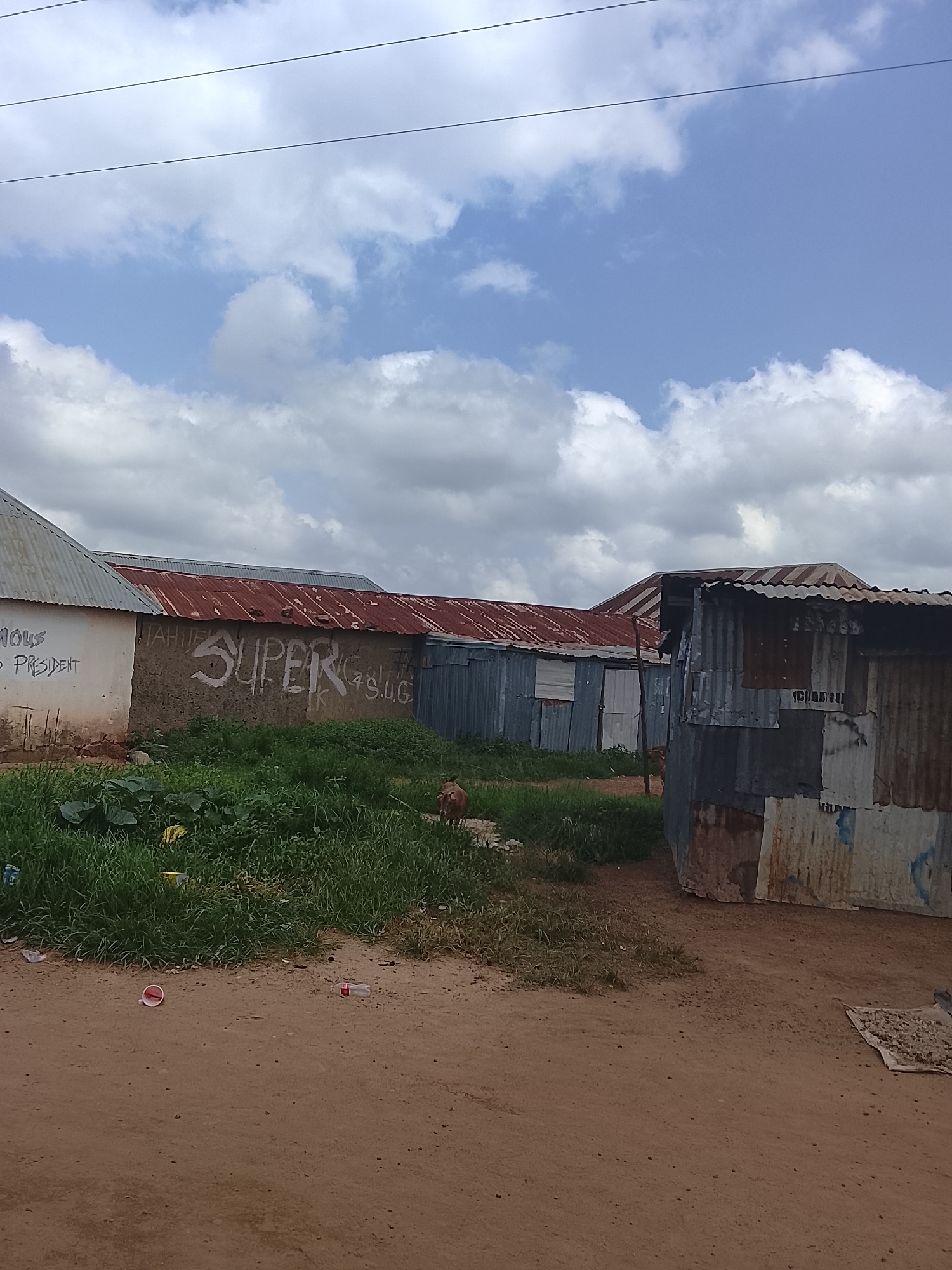 This is a landscape photo of a street scene in Durumi, Nigeria. The photo captures a mix of structures, including a few buildings with corrugated metal roofs, some of which appear weathered and aged. In the foreground, there is a dirt road with some scattered debris, including a red and white plastic cup and a plastic bottle. To the left, a building with a white wall has graffiti on it, with text that reads "MOUS O PRESIDENT". Next to it, another wall has the word "SUPER" spray-painted in large white letters.
Behind the buildings, there is an area of overgrown green grass and vegetation. A light brown, goat-like animal is visible standing in the grass near the right side of the image. The sky above is partly cloudy with a mix of white and gray clouds against a blue sky, suggesting it might be daytime, possibly afternoon, with changing weather conditions. The overall scene depicts a somewhat informal urban or semi-urban setting.
