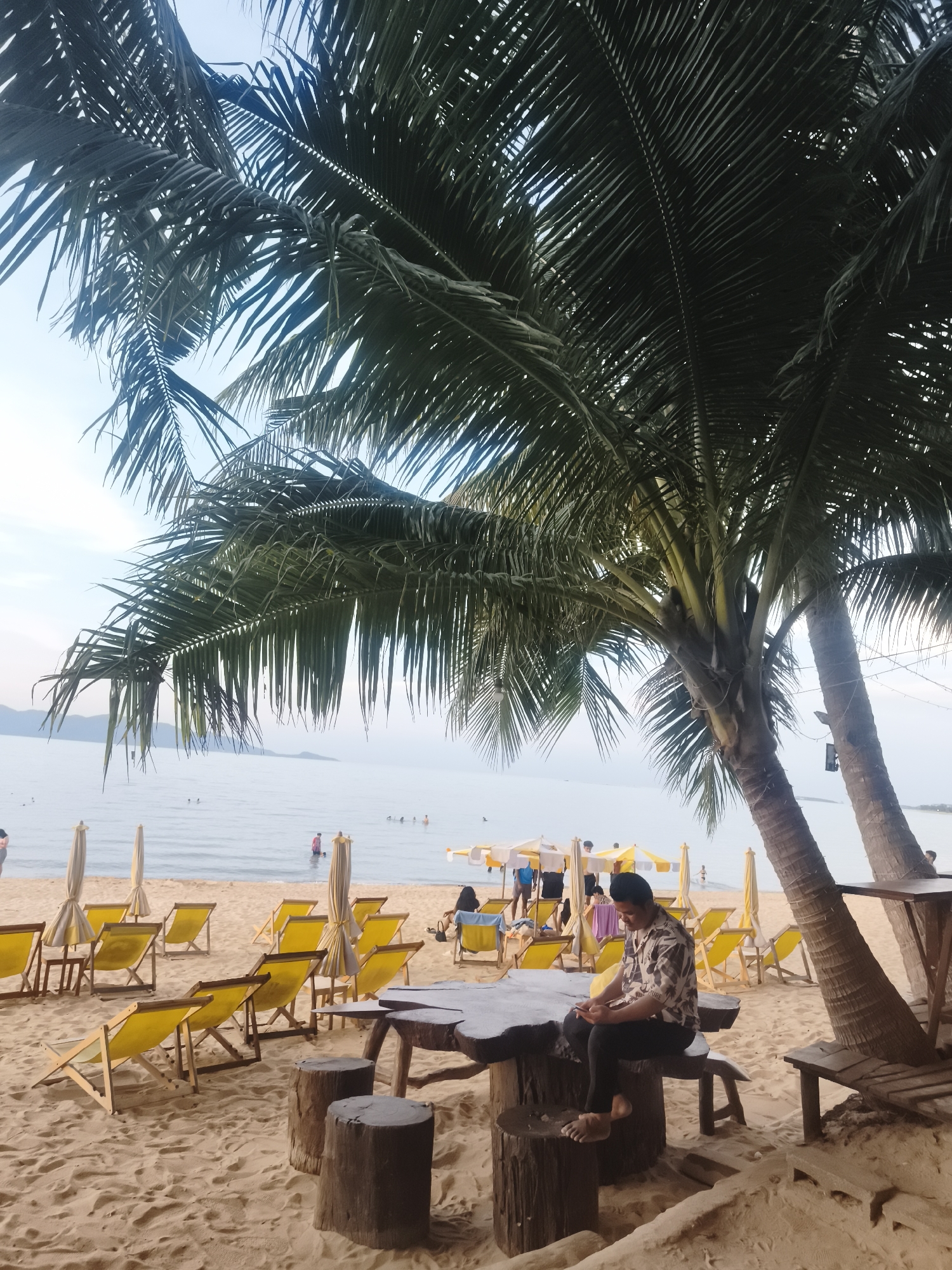 A man sits on a log at a sandy beach in Ko Samui District, Thailand, looking at his phone. Palm trees overhang the scene, and yellow lounge chairs and umbrellas are set up on the sand. In the background, the ocean is visible with several people wading in the water. The sky is overcast.