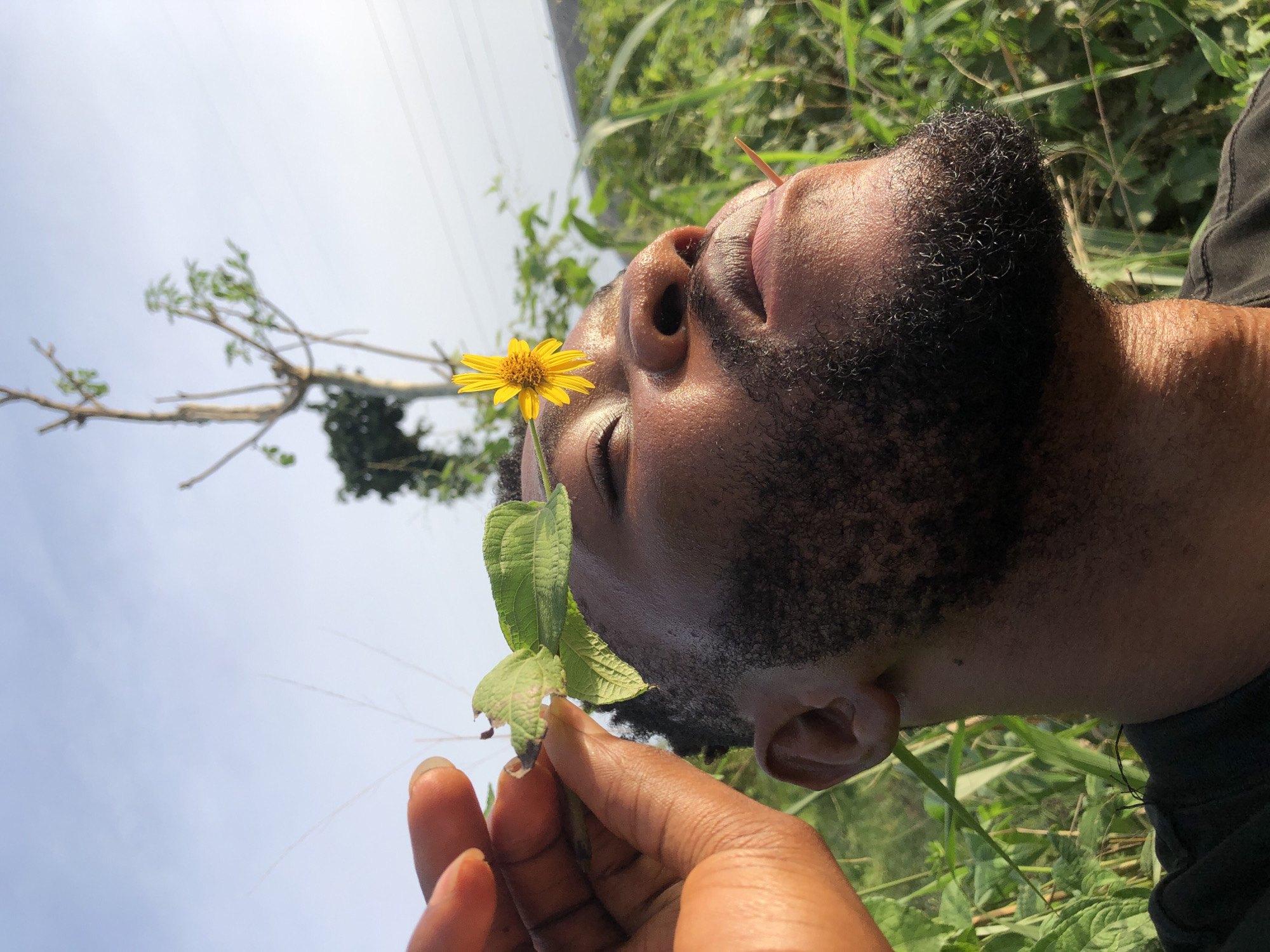 A close-up, outdoor shot of a person lying on their back in a grassy area in an unknown location. The person has dark skin, a full beard, and closed eyes. A yellow daisy-like flower is positioned on the person's forehead, held in place by a stem and leaves. The person's hand is visible in the lower left corner of the image, holding the stem of the flower and some grassy vegetation. The background includes green grass, a partially visible tree, and a blue sky with power lines. The image is taken from a low angle, looking upwards.