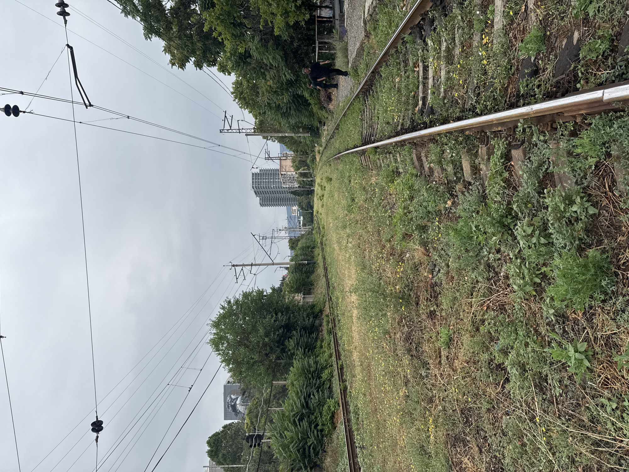 The image shows a view of a railway line in Tbilisi, Georgia, on a cloudy day. Two sets of train tracks run parallel to each other, with one set curving to the right and the other extending straight ahead. The tracks are overgrown with grass and weeds, suggesting disuse or infrequent service. Overhead power lines are visible, supported by utility poles, indicating an electrified railway. In the background, several tall buildings, including apartment complexes, are visible, suggesting an urban setting. The overall scene is one of a semi-urban environment with elements of industrial infrastructure and natural overgrowth. Two men are walking on the right-hand set of tracks, appearing to be in casual conversation.
