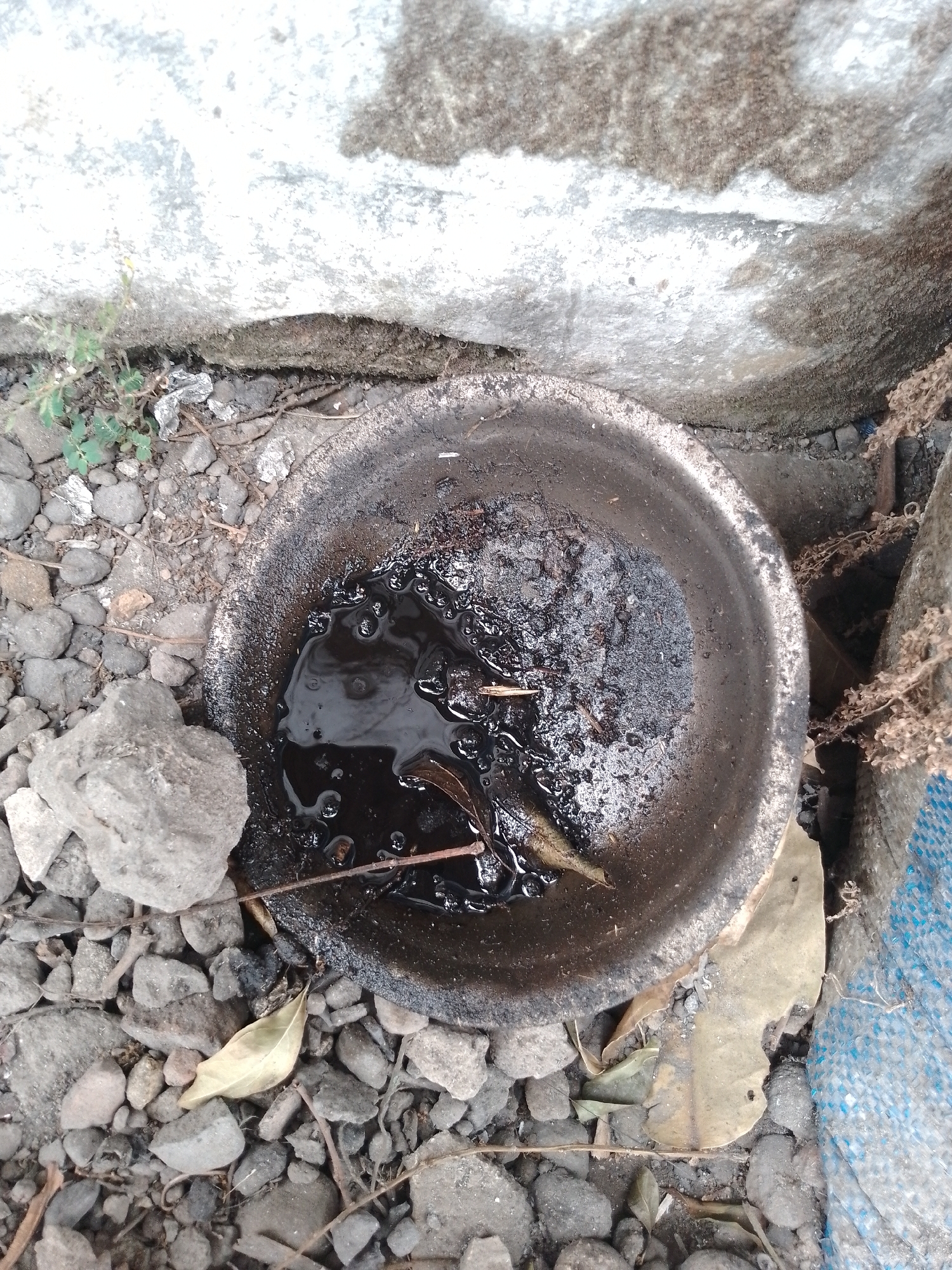 A close-up, overhead view shows a shallow, dark-colored bowl on a bed of gravel and dirt. The bowl contains murky, dark liquid with small bubbles and a few debris, possibly leaves or twigs. Surrounding the bowl is a collection of various-sized grey stones and dry, brown plant matter. To the left of the bowl, a larger, rough grey rock is visible. In the background, a textured, pale grey wall with darker grey patches dominates the upper portion of the image, with some small green plants growing near its base. To the right, a portion of a blue and grey woven material is present. The scene appears to be outdoors, possibly in a neglected area or alleyway in Kauman, Indonesia. There are no people or animals visible in the image.