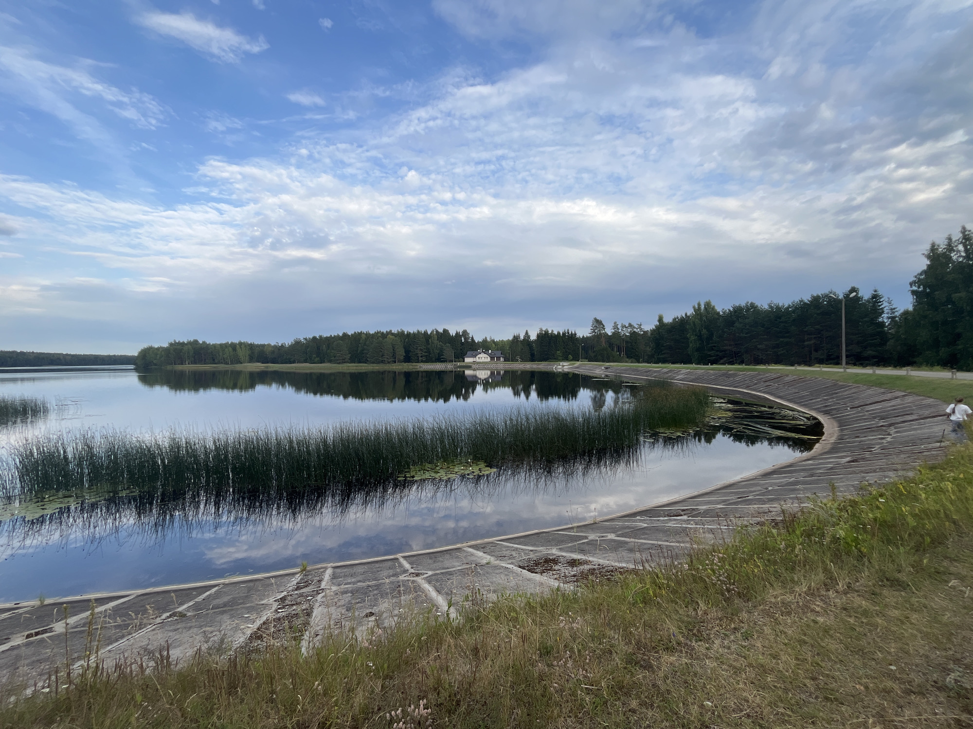 The image depicts a serene landscape with a large body of water. A concrete embankment curves along the right side of the frame, bordering the water. Tall green reeds grow densely in the shallow water near the embankment. In the distance, a line of trees forms the treeline along the far bank of the lake, with a small white building nestled amongst them. The sky above is partly cloudy, with a mix of blue sky and white clouds. The water reflects the sky and the surrounding trees, creating a mirrored effect. A single person, wearing a white shirt and dark pants, is walking along the concrete embankment on the right side of the image. The foreground consists of dry grass and some wildflowers. This scene is located at the Raudoja Reservoir in Raudoja, Estonia.