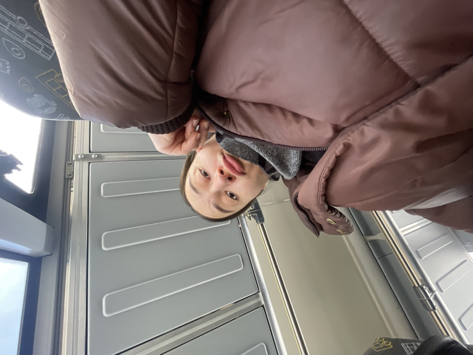 The image is a low-angle selfie taken inside a public transport vehicle, likely a train or bus. A single individual, appearing to be a young adult with dark hair pulled back, is positioned in the lower-middle frame, looking directly at the camera with a slight pout. The person is wearing a grey turtleneck and a reddish-brown puffer jacket; their right hand is raised, with fingers touching the right side of their face near the ear. The vehicle's interior features light grey paneled walls with recessed vertical lines, horizontal metal railings or luggage racks, and windows showing an overcast sky. A patterned fabric seat back is partially visible in the upper right, displaying abstract illustrations of vehicles. The specific location within Fryazevo, Russia, is not ascertainable from the visual content of the image.