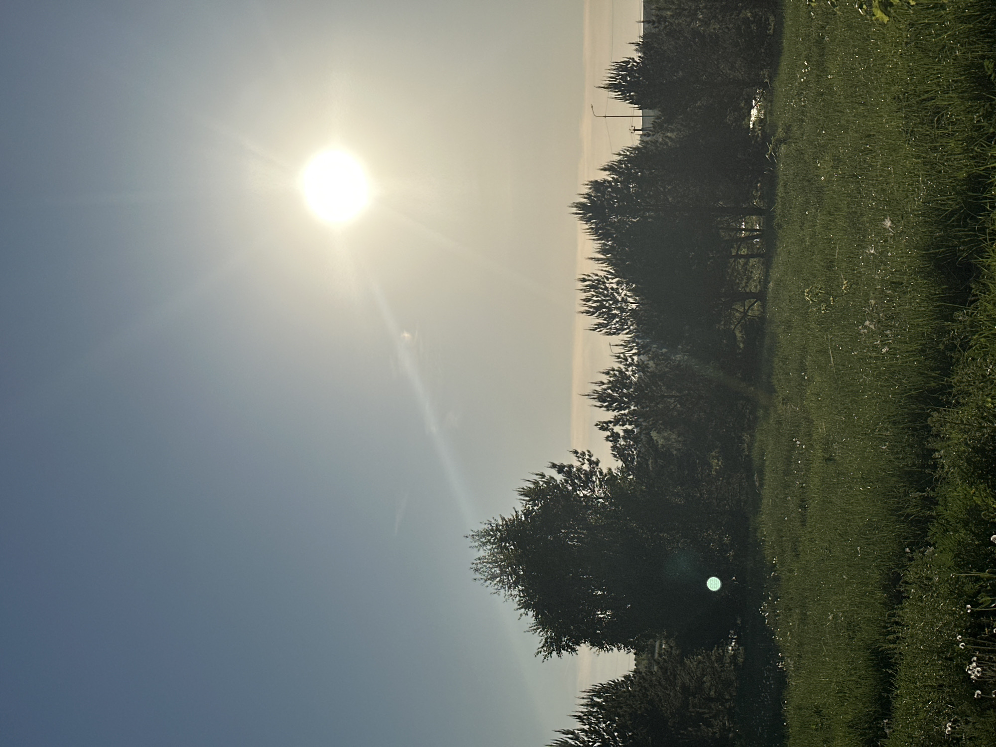 The image depicts a landscape in Эстачи, Russia. The sky, a gradient from blue to hazy white, occupies the left half of the frame. The sun, a bright orb, shines prominently in the upper left. A line of trees and grass runs vertically on the right side of the image. Power lines are visible.