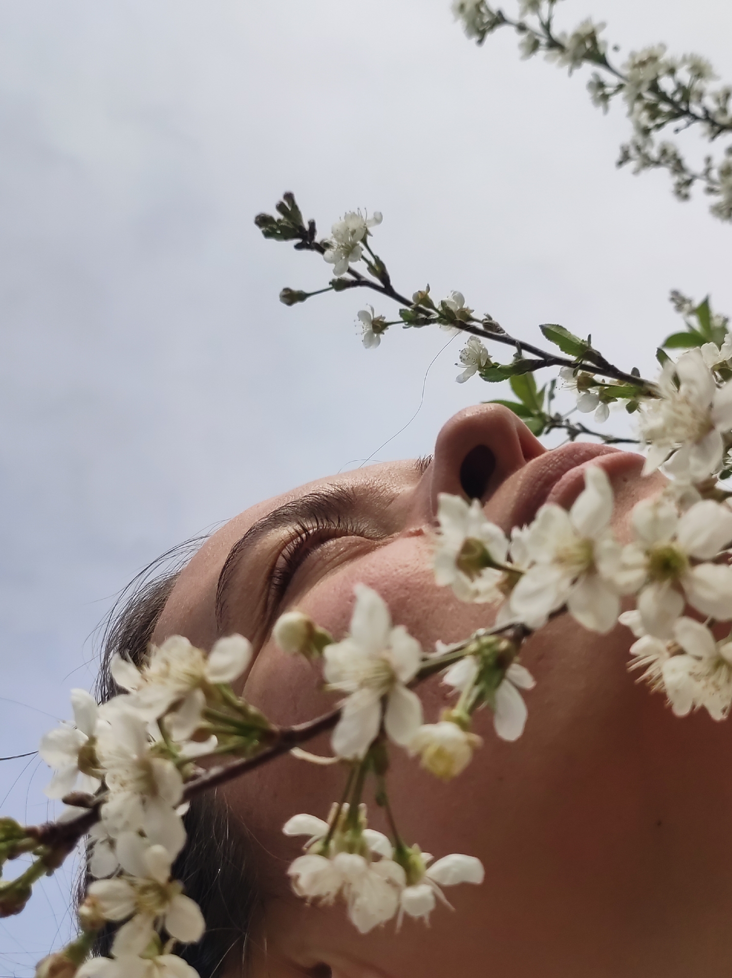 The image shows a close-up, low-angle shot of a person's face surrounded by white blossoms. The person's eyes are closed, and they are looking upwards towards the sky. Blossoming branches with white flowers partially obscure their face. The sky is visible in the background, appearing overcast. The image doesn't allow identifying a location in the city of Фоки, Russia.