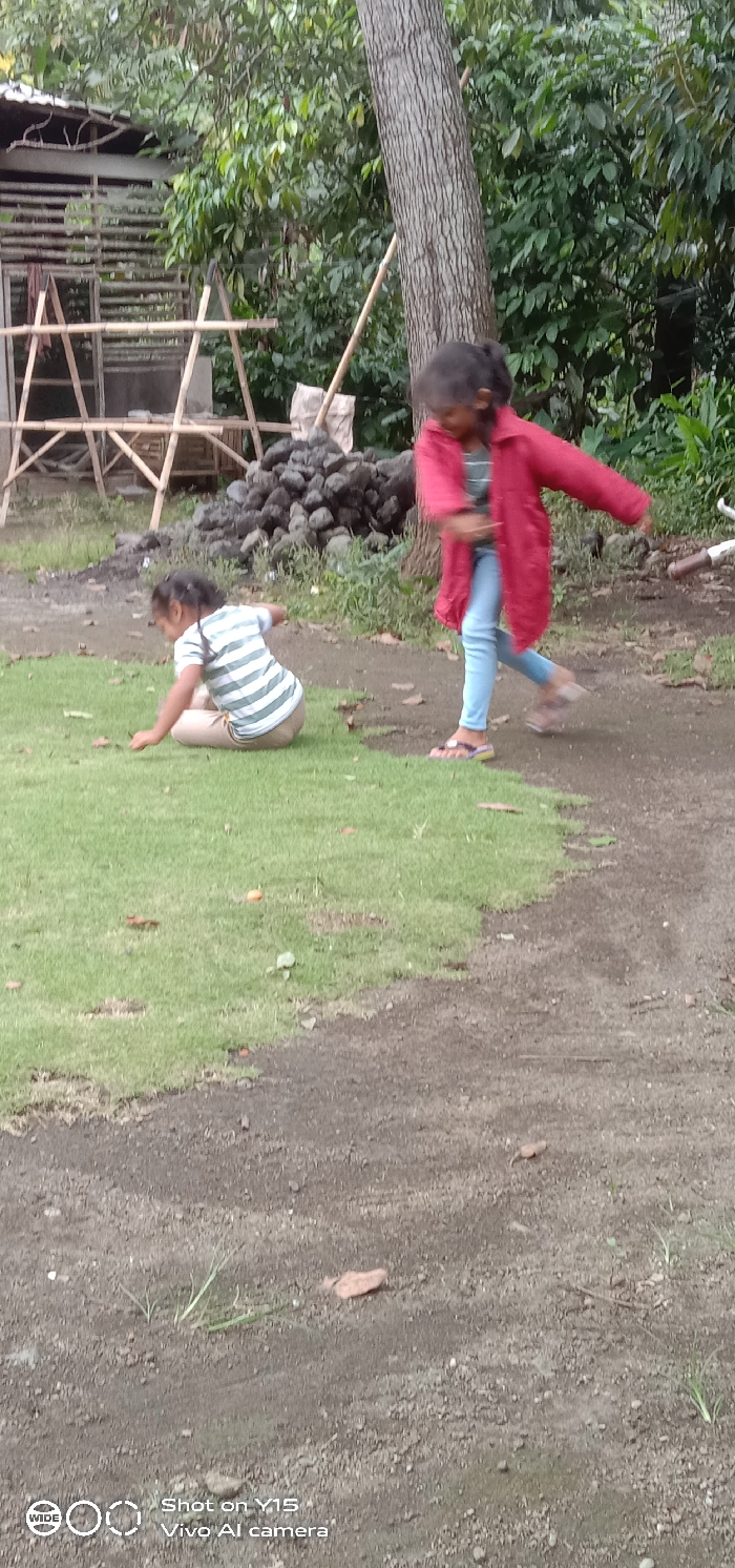 The image depicts an outdoor scene in Ranugedang, Indonesia, featuring two young females. In the foreground, a dirt path transitions into a patch of green grass. A girl, dressed in a white and light green striped shirt and light-colored pants, is seated on the grass, leaning forward as if interacting with an object on the ground. To her right, another girl, wearing a red long-sleeved jacket, light blue jeans, and multi-colored flip-flops, is in motion, running or walking across a dirt section of the ground, with her body angled towards the right. The background features dense green foliage and a large tree trunk on the right. In the upper left quadrant, a partially constructed wooden or bamboo framework is visible, accompanied by a section of corrugated metal roofing and a pile of dark rocks or debris on the ground beneath it. The overall environment appears semi-natural or undeveloped.