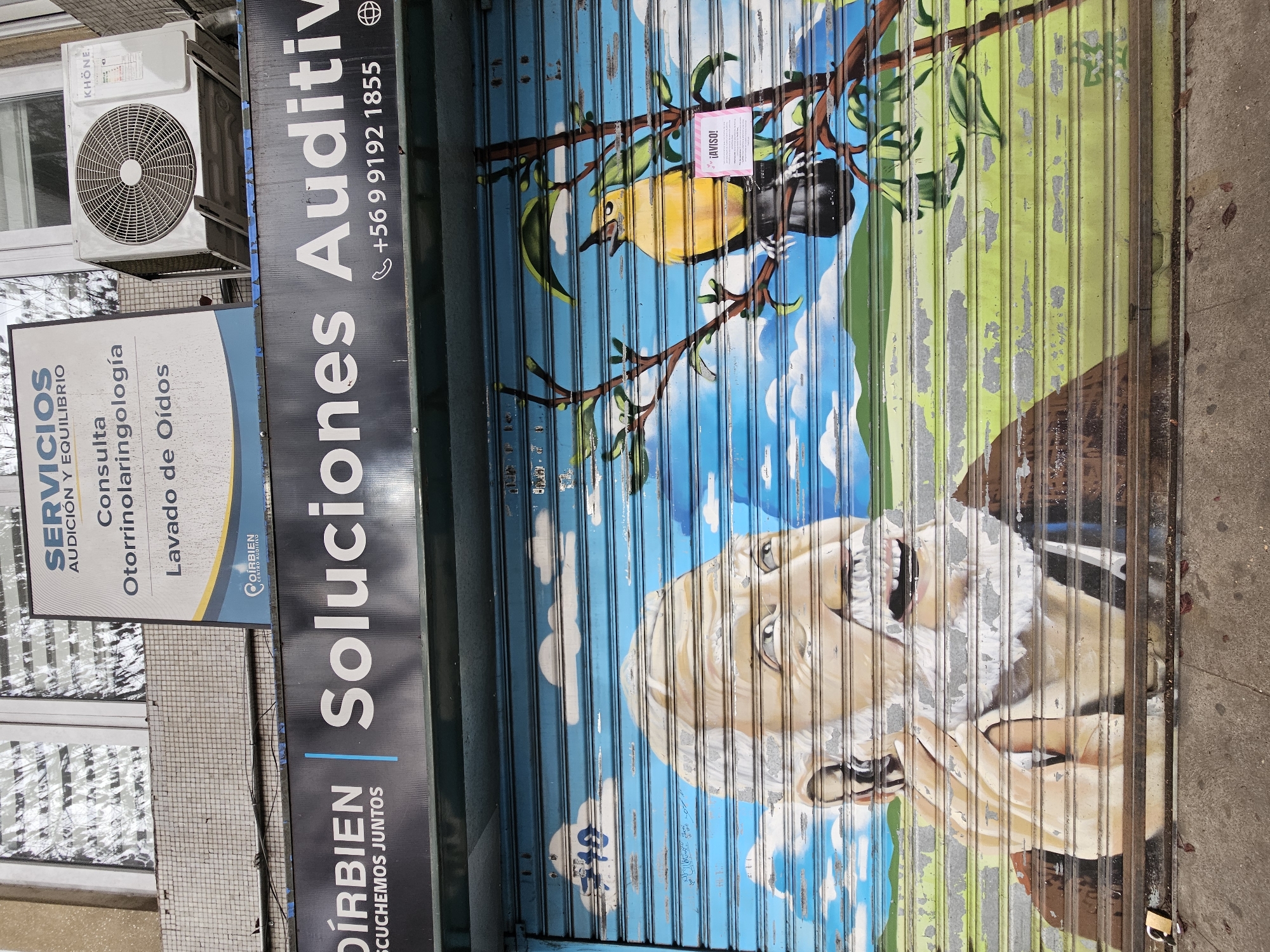 The image shows a street scene in Concepcion, Chile, featuring a business named "Dirbien Soluciones Auditivas" (Dirbien Auditory Solutions). The business facade is adorned with a metal roll-up door painted with a mural depicting an older man with white hair and beard, as well as a yellow bird perched on a tree branch against a blue sky backdrop. A small pink sign with the word "AVISO!" (Notice!) is attached to the tree branch. The business provides services related to hearing and balance, including consultations in otorhinolaryngology (ear, nose, and throat) and ear cleaning. A white air conditioning unit is mounted on the exterior wall above the business signage. The storefront also displays the company's contact information, including the phone number +56 9 9192 1855.