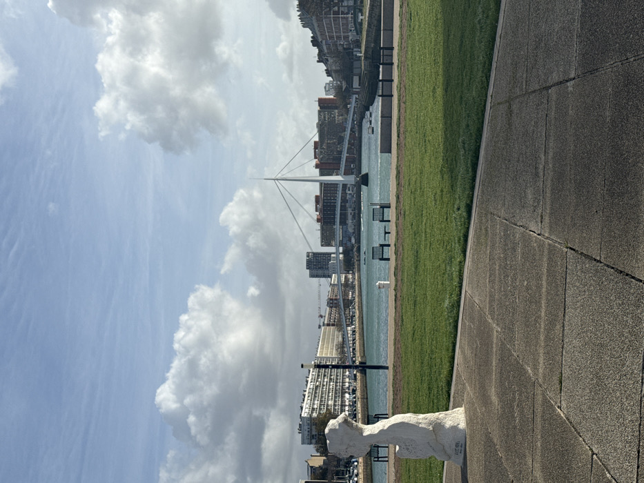 The image depicts a daytime urban waterfront scene in Le Havre, France, looking generally east across the Bassin Vauban. In the foreground, a grey concrete paved path transitions into a manicured green lawn. Positioned on the pavement to the left is a white, abstract stone sculpture, appearing to be a stylized human head or bust, facing towards the right.
Beyond the lawn lies a body of turquoise-colored water, likely a basin or canal. Two dark-colored benches with backs are situated on the water's edge, facing the water. A white bollard is also visible near the benches. Several small boats are moored on the opposite side of the water.
Dominating the middle ground is the Pont Patrick Devedjian (Pont de la Porte Océane), a distinctive white cable-stayed bridge with a single central pylon, spanning the water. The bridge's deck is supported by multiple cables radiating from the pylon.
The background consists of the city of Le Havre. Multi-story buildings, some residential with balconies and others commercial, line the distant shore on both sides of the basin and beyond the bridge. Vehicles are visible on roads adjacent to these structures. The sky overhead is partly cloudy, with scattered white cumulus clouds against a light blue backdrop. No individuals are present in the visible area.