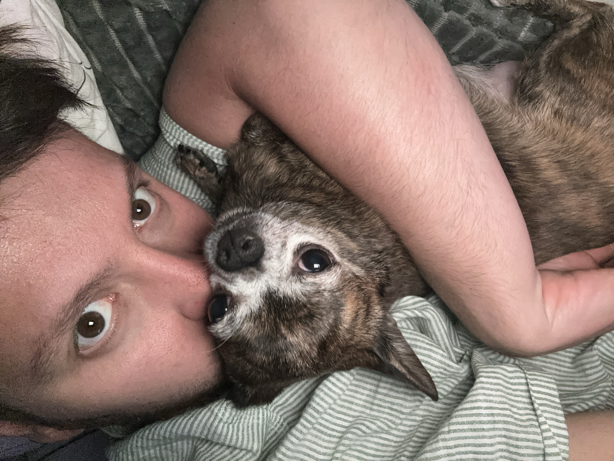 A close-up, high-angle shot shows a person and a small dog in bed, with the person's face and arm prominently featured. The person's eyes are wide open and looking towards the camera. The dog, a brindle-colored chihuahua, is nestled in the person's arm, its head resting near the person's cheek. The background consists of striped bedding and a textured blanket. The overall scene depicts a moment of intimacy and comfort between the person and their pet.