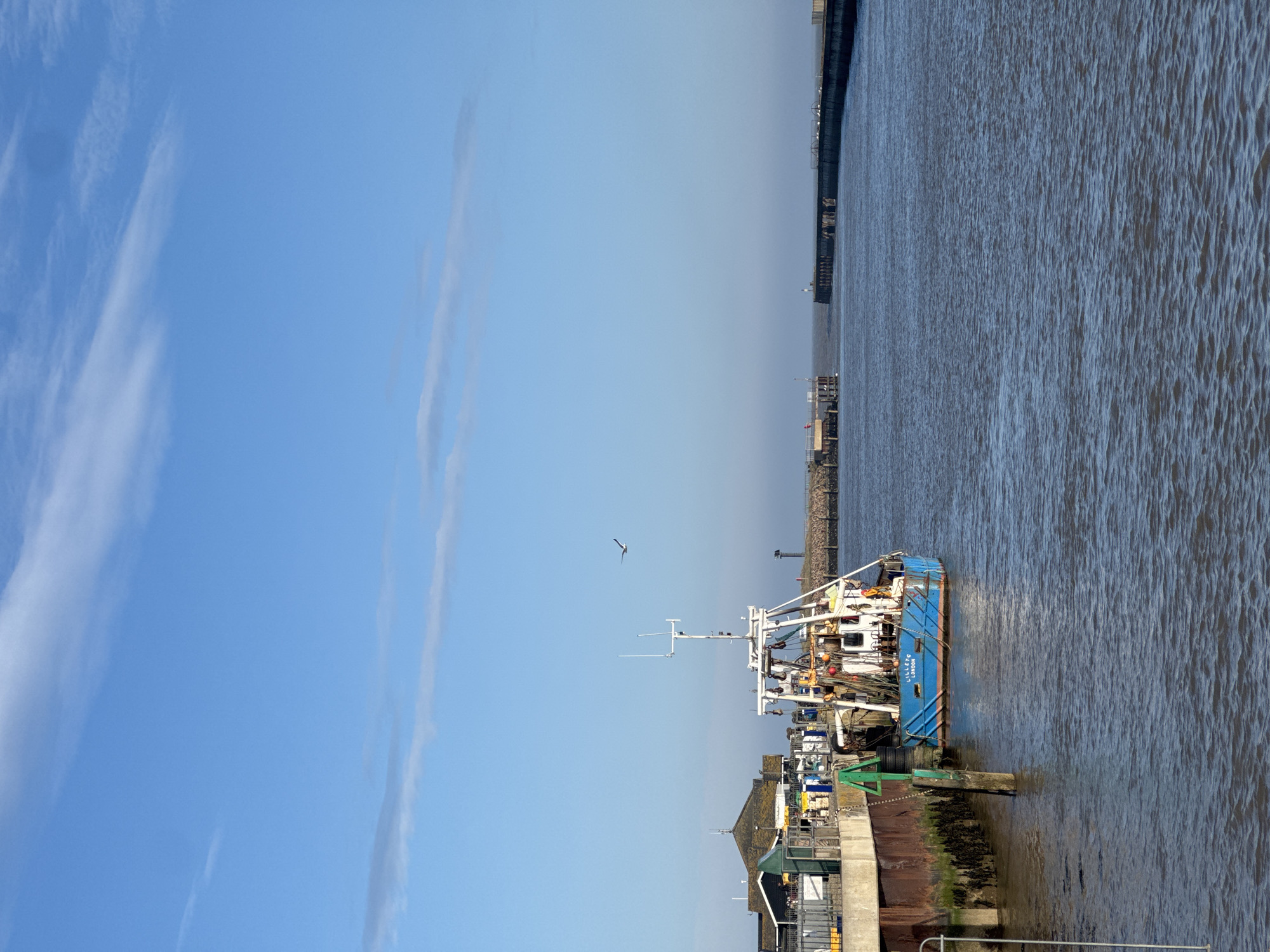 The image shows a boat in a harbor in East Suffolk, United Kingdom. The boat is a blue fishing trawler, docked at a pier. The pier is made of concrete and metal, and there are some small buildings nearby. The water is calm and reflects the sky. In the background, there is a long stone barrier that protects the harbor. The sky is mostly blue with a few scattered clouds. There is a bird flying in the sky. The picture appears to be taken during the day with natural light.