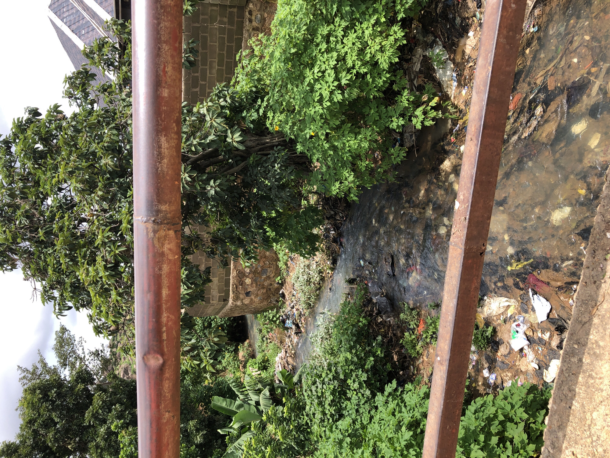 This is a medium-shot, eye-level, outdoor photograph of a polluted stream flowing through a densely vegetated area, likely in Jos, Nigeria. The foreground is dominated by two rusty, horizontal metal bars, possibly part of a bridge railing, casting shadows on the scene below.
The stream itself appears murky and filled with a significant amount of debris, including plastic bags, bottles, and other assorted trash, creating an unsightly and unhygienic environment. The banks of the stream are overgrown with lush green foliage, including large-leafed plants and trees.
In the background, a brick building with a pitched roof is visible, partially obscured by trees. Further back, more trees and a rocky outcrop suggest the natural landscape of the area. The sky is overcast with a few patches of light.
The overall impression is one of environmental degradation, with the natural beauty of the vegetation starkly contrasted with the prevalent pollution in the waterway. There are no people visible in the frame.