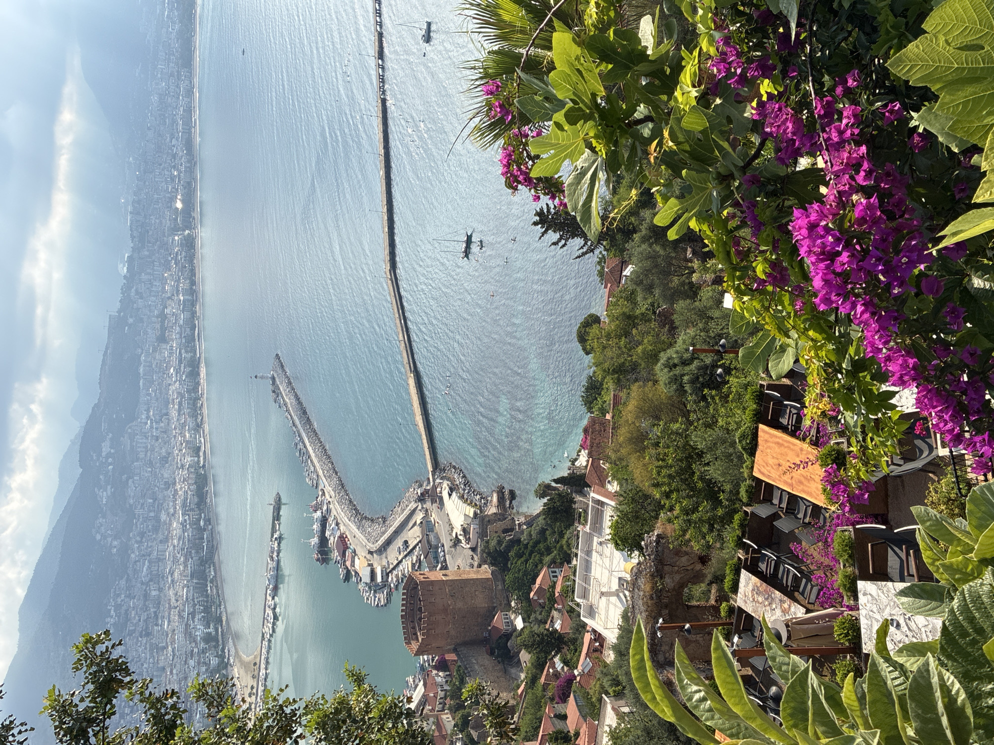 The image captures a scenic view of Alanya, Turkey, from a high vantage point. In the foreground, lush green foliage and vibrant purple bougainvillea flowers partially obscure a seating area with tables and chairs, suggesting a restaurant or cafe terrace.
The midground reveals the iconic Red Tower of Alanya and a section of the ancient city walls, perched on a rocky outcrop overlooking the sea. A harbor is visible, filled with numerous moored boats and yachts. Extending from the harbor into the turquoise water is a long, curved pier leading to a lighthouse. Several sailboats are dotted in the sea, some appearing to be at anchor.
In the background, the city of Alanya sprawls along the coastline, with dense buildings climbing up the hillsides. The distant mountains are shrouded in a light haze, and the sky is a mix of clouds and sunlight, with rays of light piercing through. The overall scene is one of a picturesque coastal city with historical landmarks and abundant natural beauty. There are no people clearly visible in the scene.
