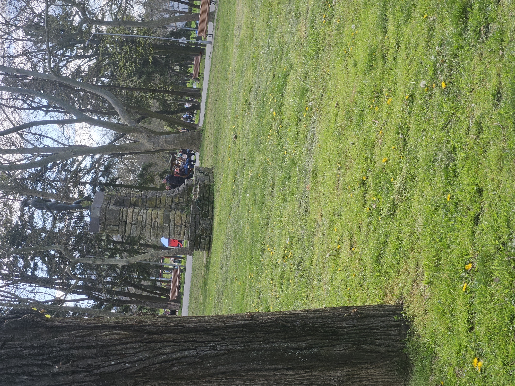 The image depicts a park scene in Yambol, Bulgaria. In the foreground, a tree trunk occupies the lower portion of the frame. Beyond the tree, a grassy area is visible, interspersed with yellow wildflowers.
In the middle ground, a stone monument or structure stands, surrounded by trees. A group of people are gathered near the monument. Benches are positioned along a paved pathway, and other individuals can be seen sitting on them in the distance. A red and white flag are visible behind the monument. The sky is visible through the bare tree branches.