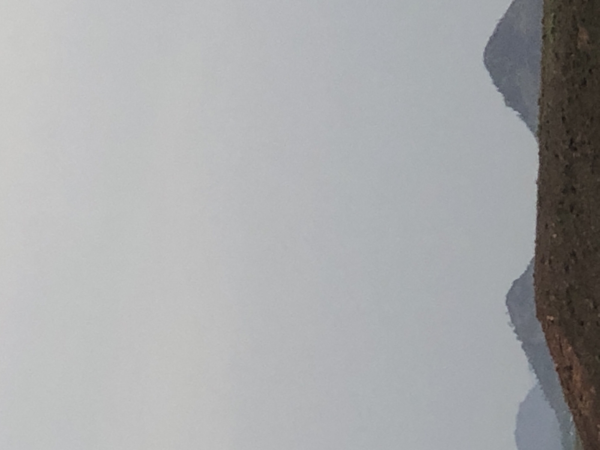 A vertical photograph shows a landscape with gray sky occupying most of the frame. Along the right edge, a steep, rocky terrain or mountain range with dark brown and gray hues is visible. The terrain is textured with what appears to be dense vegetation or rocky outcrops. Indentations and variations in the terrain suggest contours of hills and valleys. The setting implies a natural environment, possibly a mountainous region. There is no specific information available within the image to confirm its location within the city of Wuro Danuda, Nigeria.