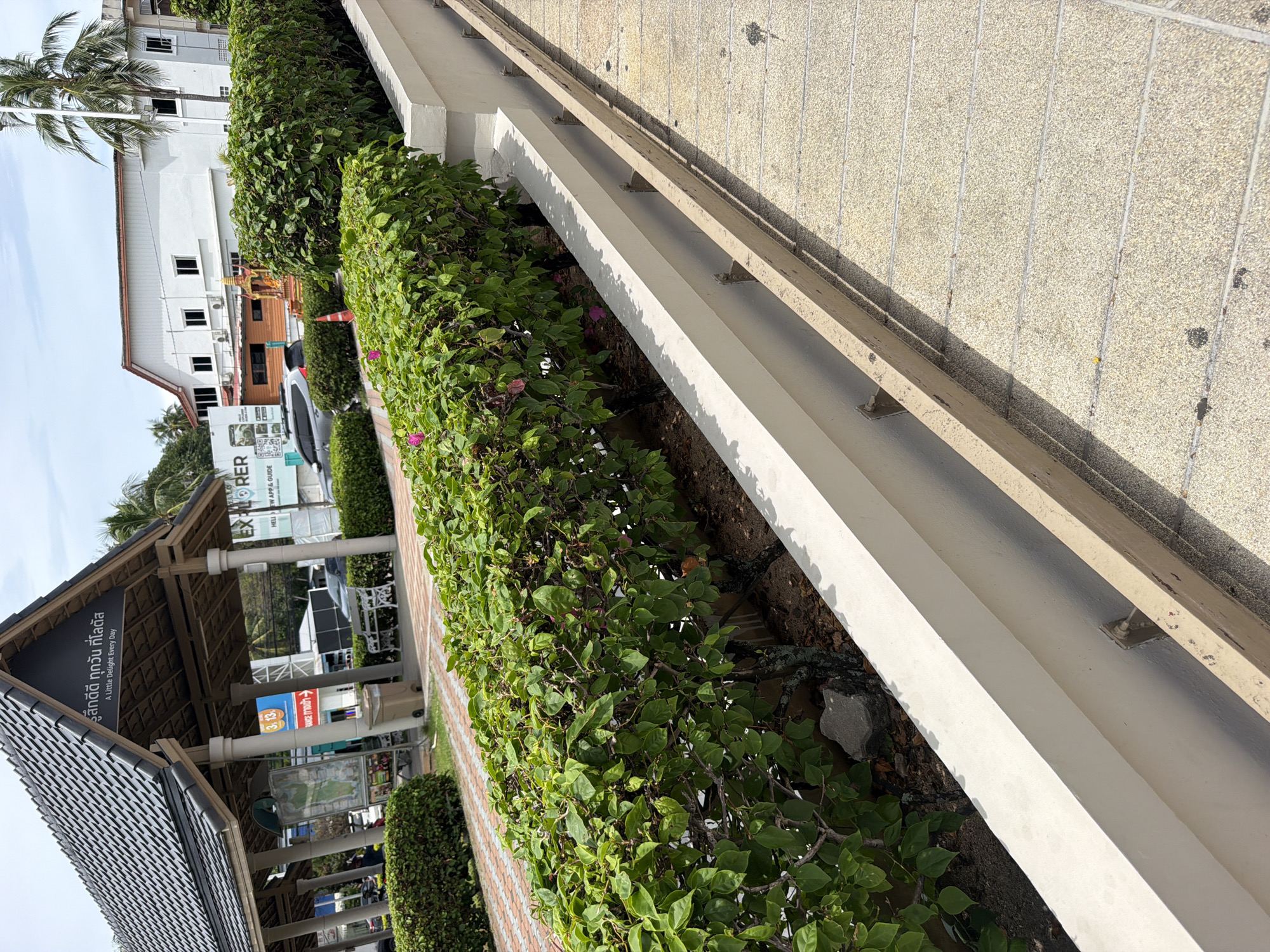 The image depicts an outdoor scene in Ko Samui, Thailand. In the foreground, a light-colored concrete walkway is visible, marked with horizontal grout lines. To the left of the walkway is a low, white concrete planter box containing lush green bushes with some small pink flowers. A wooden beam, weathered and faded, runs parallel to the walkway.
Behind the planter box, a covered structure with a dark, tiled roof supported by pillars is present. Signage is visible under this structure, including a map and text in Thai script which translates to "A Little Delight Every Day". Further in the background, a white building with multiple windows stands, and a palm tree is visible to its right. A silver SUV is parked to the left of the white building, and an orange traffic cone is positioned in front of the bushes. The environment appears to be sunny with a clear sky.