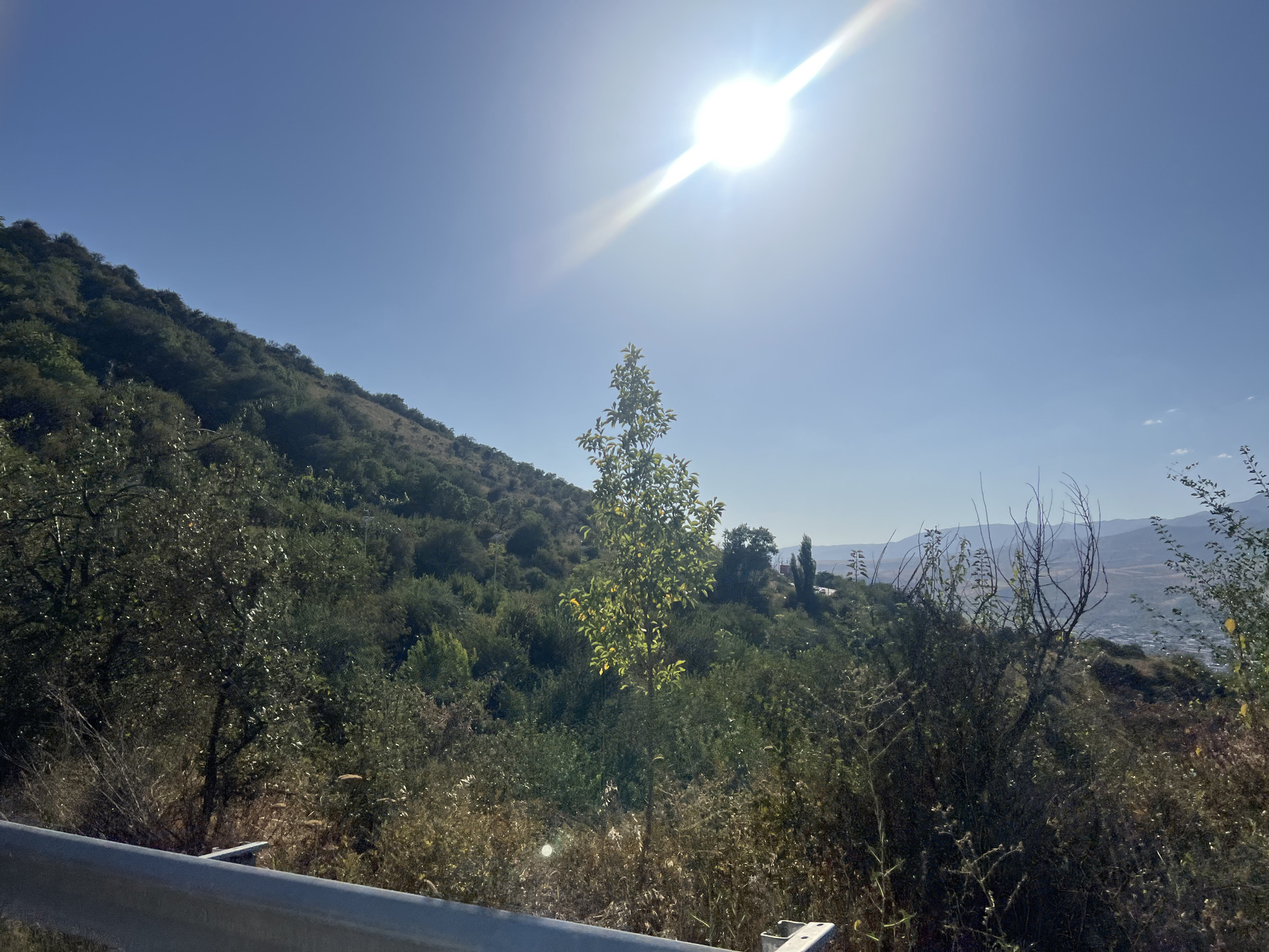 A bright sun shines in the upper right corner of the image, casting a glare. The sky is a clear, bright blue. The foreground shows a metal guardrail, suggesting a road or elevated vantage point. Beyond the guardrail, a hillside is covered in dense, green vegetation, with various trees and bushes. A solitary, young tree with lighter green leaves stands out in the middle ground. In the distance, the landscape slopes downwards, revealing a view of a town or city nestled in a valley. The architecture of the buildings is not clearly discernible due to the distance and hazy atmosphere. The overall impression is a sunny day in a semi-arid, hilly region, likely in or near Chinarkent, Uzbekistan, given the characteristic vegetation and mountainous terrain.