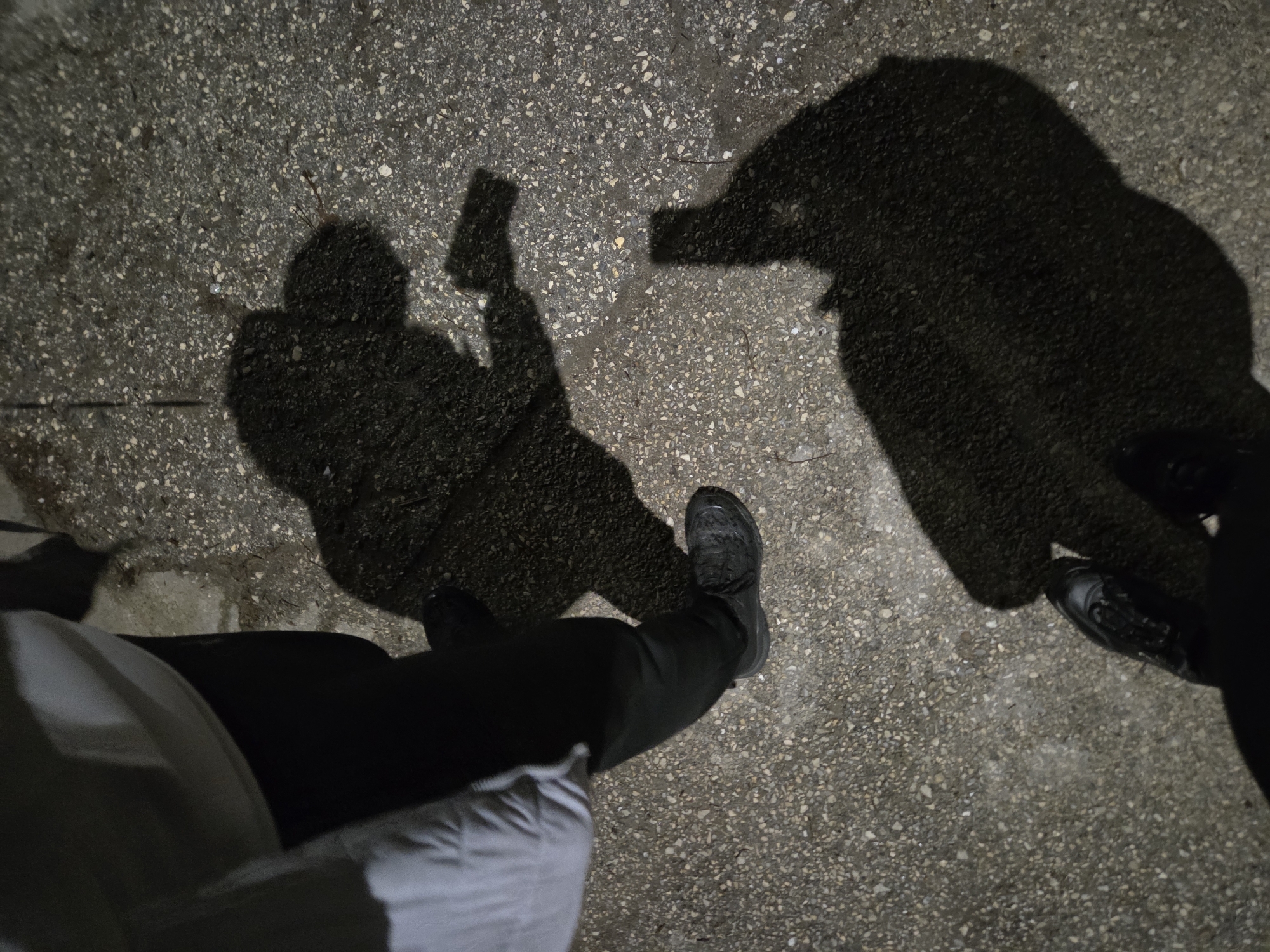 The image shows a ground-level view of a concrete surface, with two distinct shadows cast upon it. The shadow on the left resembles a person holding a rectangular object, possibly a phone. The shadow on the right is larger and more amorphous, seemingly of a person's hand reaching out. Two sets of feet, wearing dark shoes, are visible in the foreground. A portion of what appears to be a light-colored garment can be seen at the lower left. The specific location in the city of Pleven, Bulgaria, cannot be determined from the given visual information.